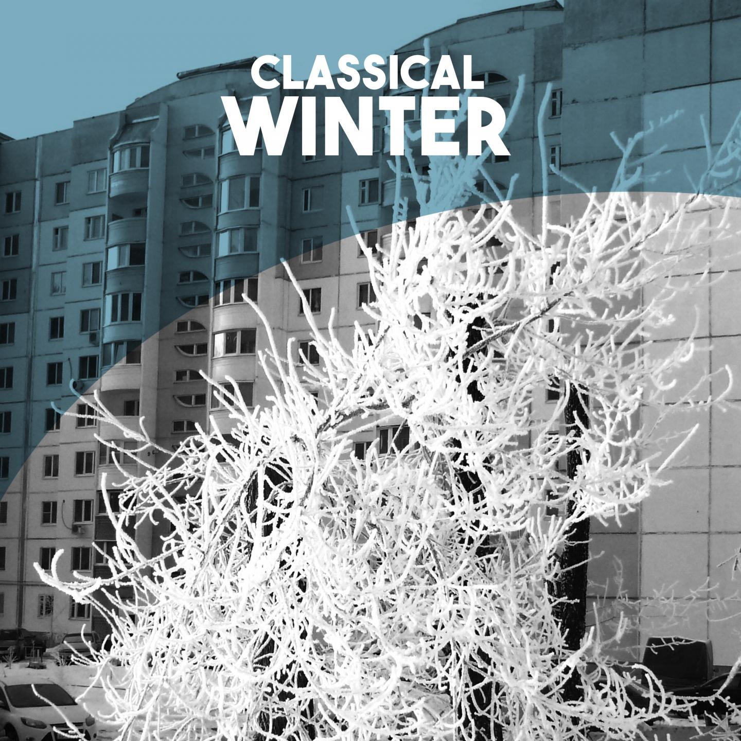Symphony No. 1 in G Minor, Op. 13, Th 24, w 21: I. Daydreams on a Winter Journey  Allegro Tranquillo