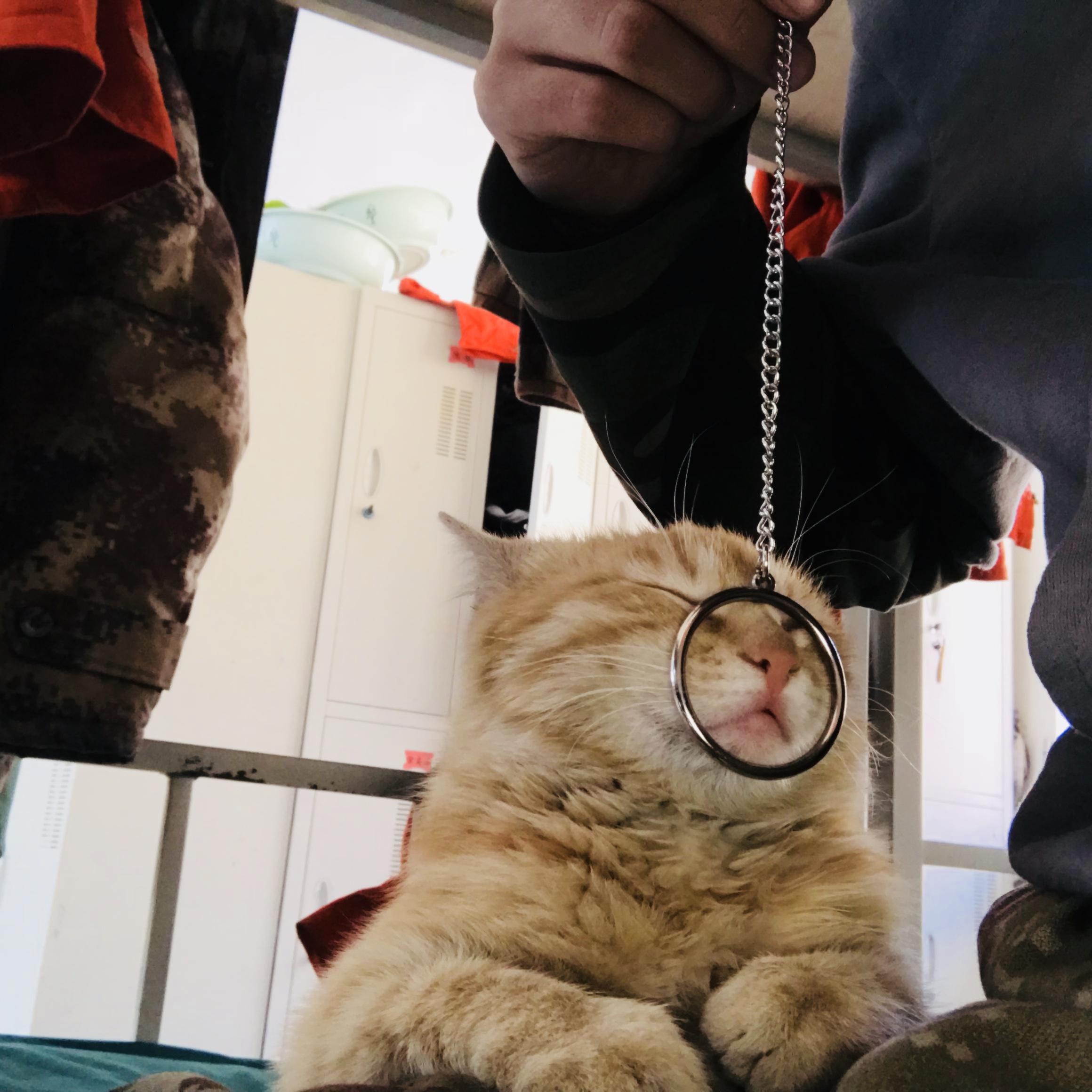 xiang wo zhe yang de ren