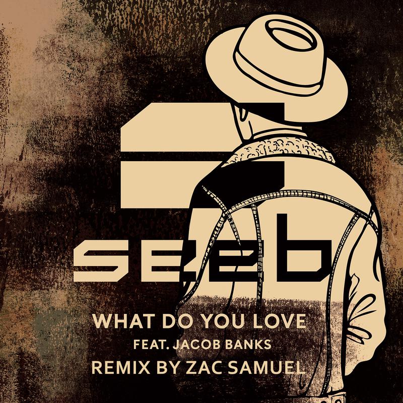 What Do You Love (Zac Samuel Remix)