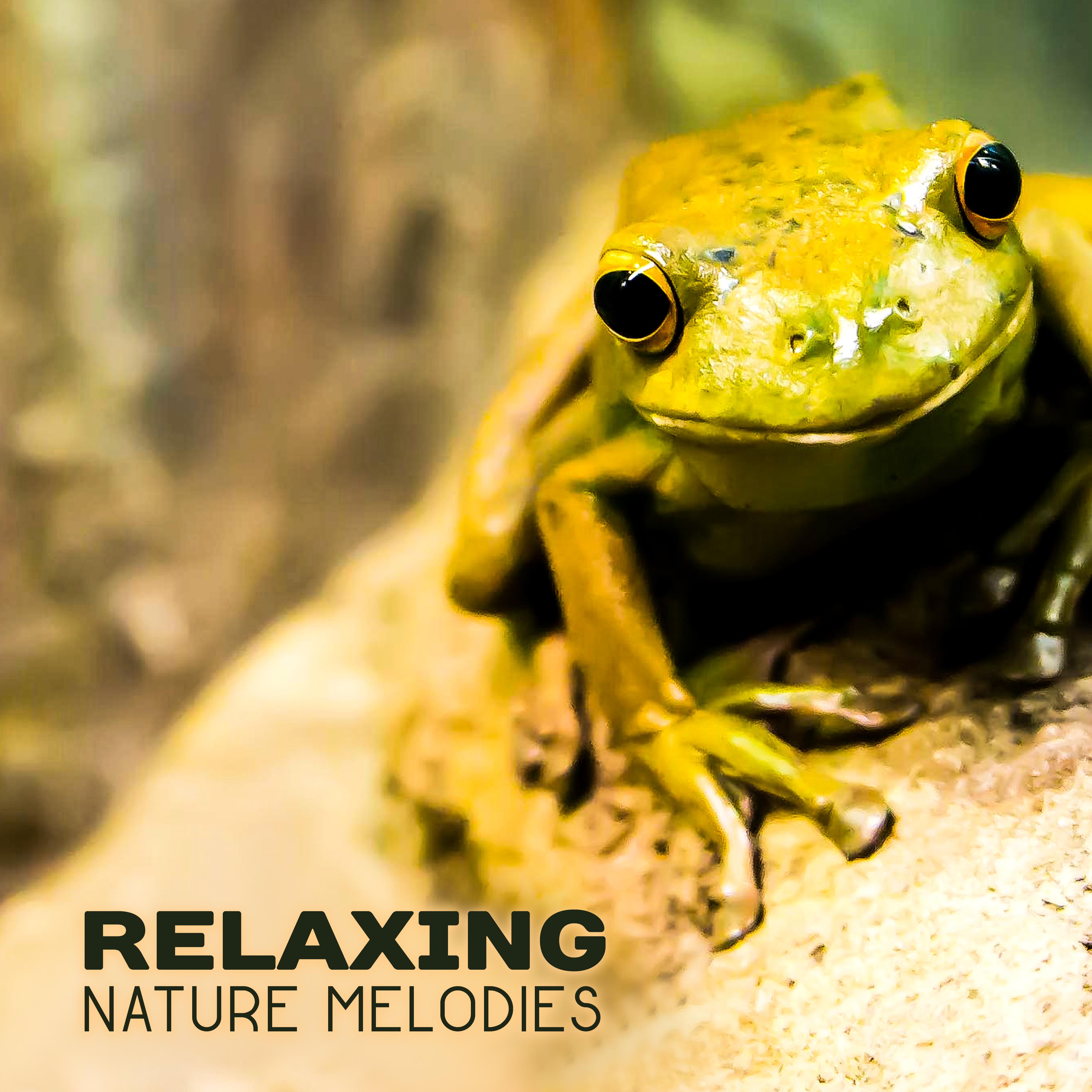 Relaxing Nature Melodies  Calm Music to Rest, Healing Therapy, Nature Waves of Calmness, Mind Peace