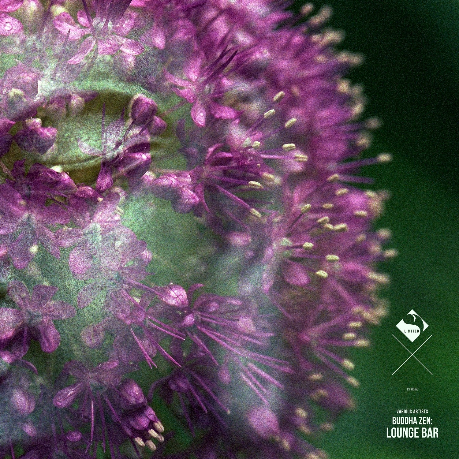 The Jimmy Lloyd Songwriter Showcase, Vol. 7