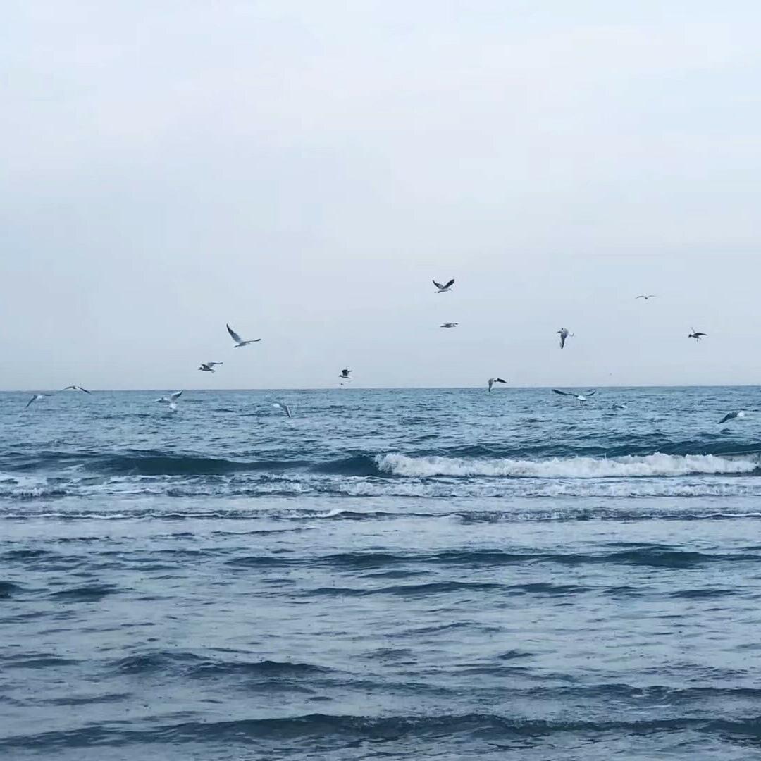 qing chun jin xing shi