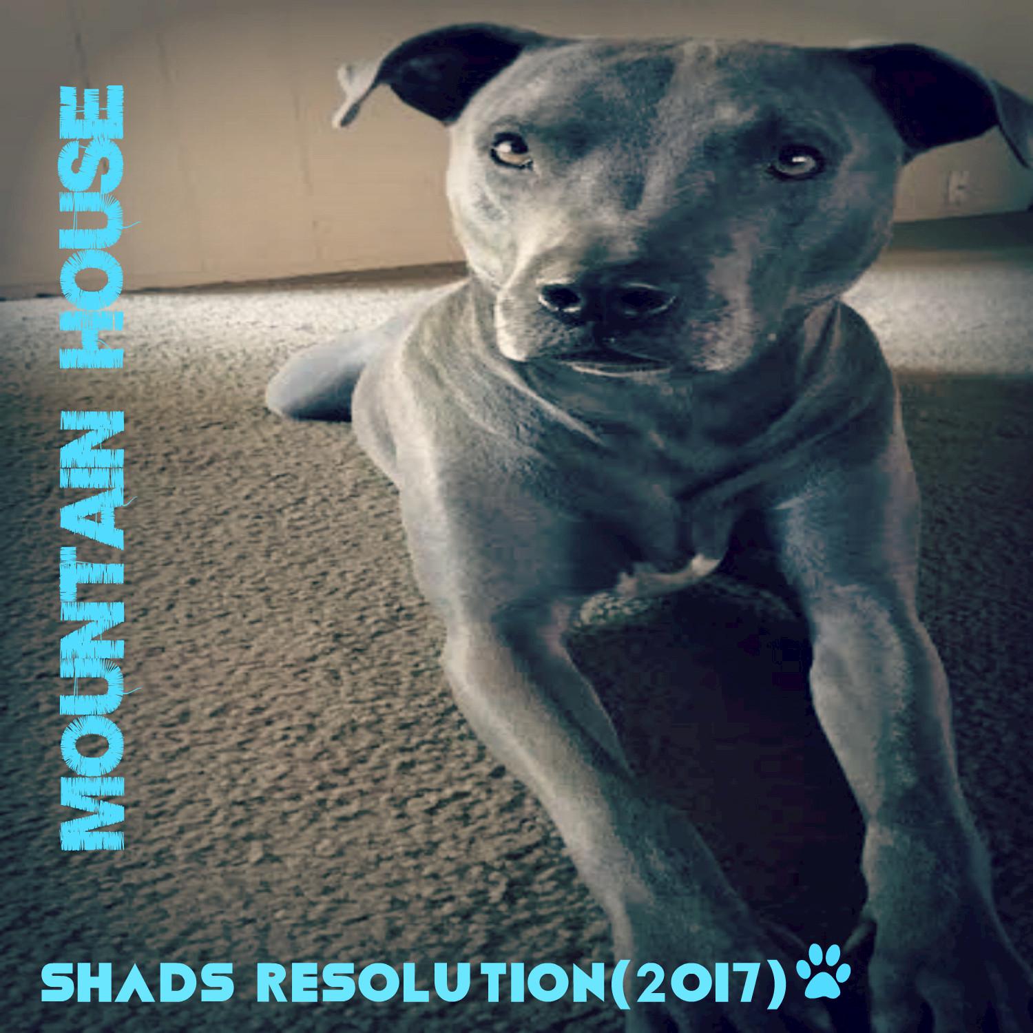 Shads Resolution 2017