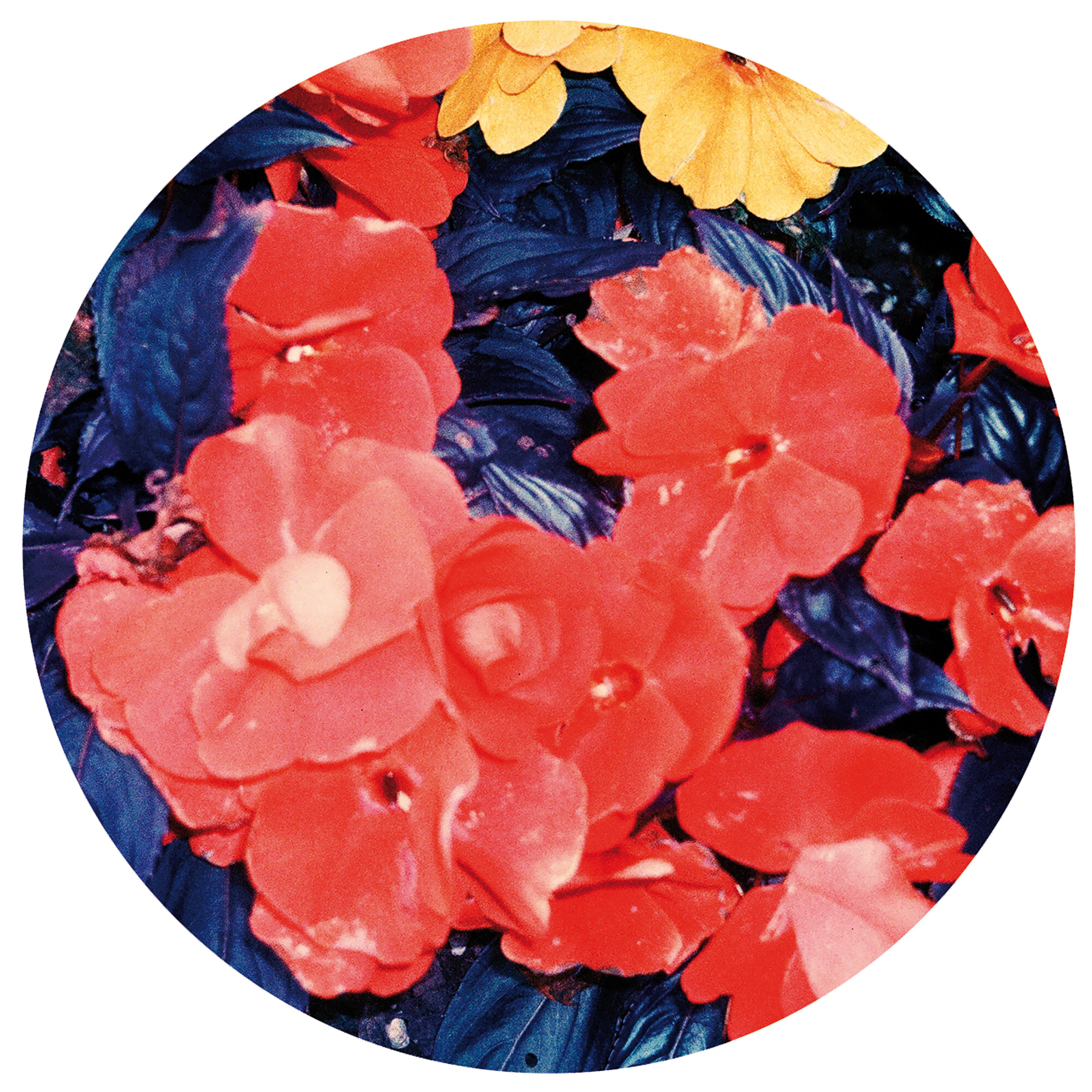 Dancers Cut (Flute Mix)