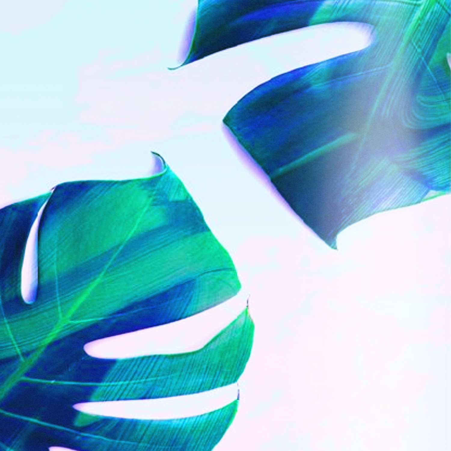 Spring  Day Cover BTS fang dan shao nian tuan