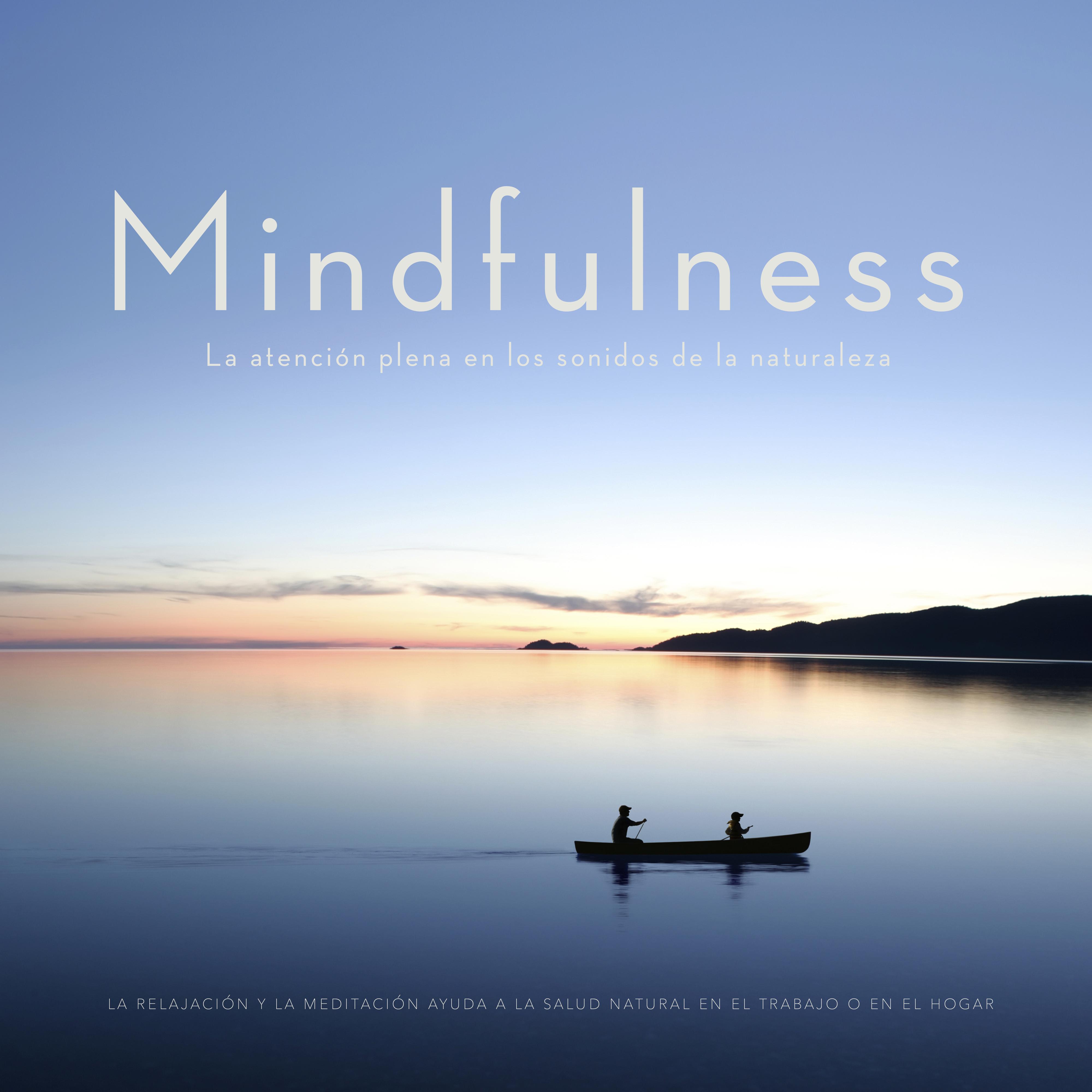 Mindfulness   La atencio n plena en los sonidos de la naturaleza : la relajacio n y la meditacio n ayuda a la salud natural en el trabajo o en el hogar