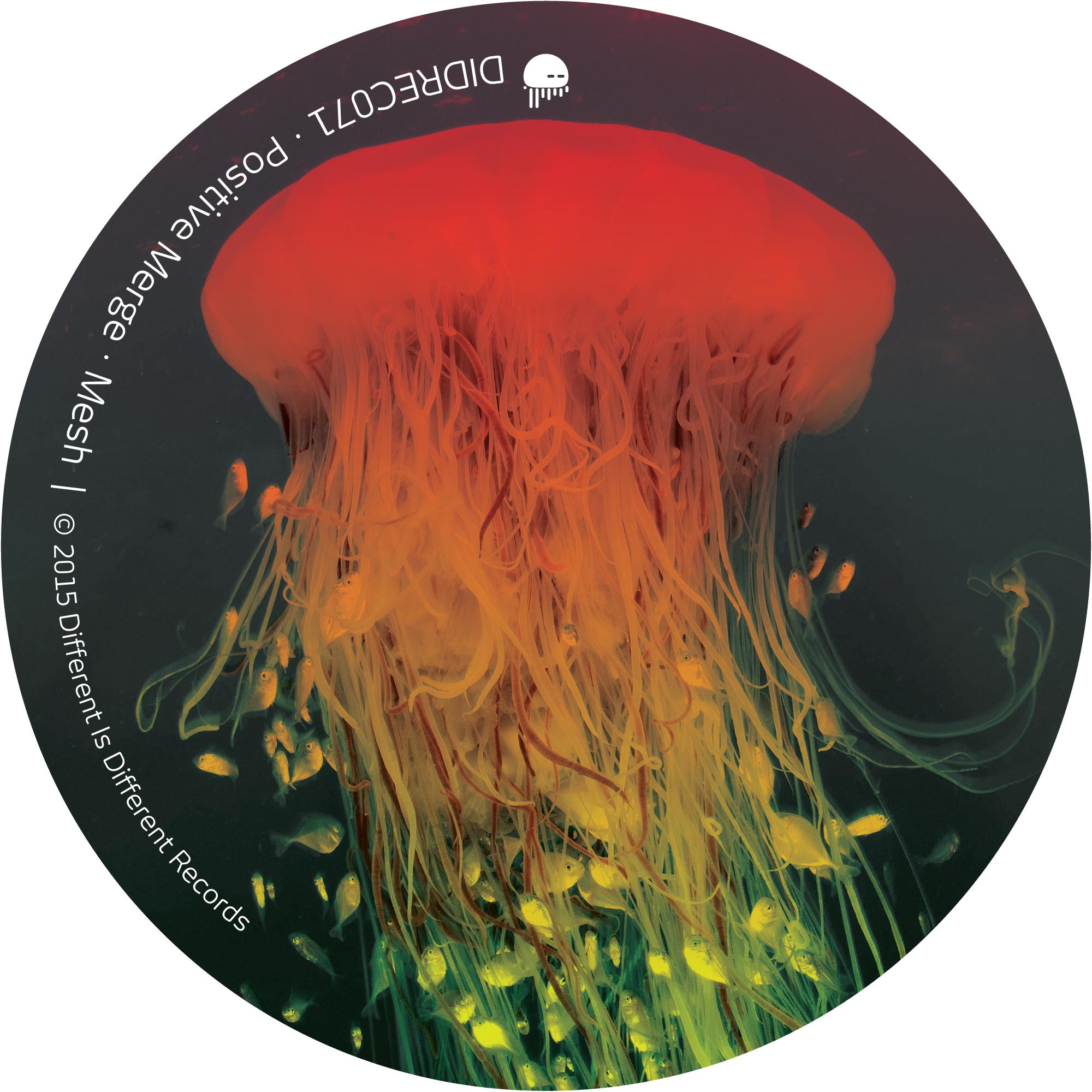 Quie n Castigo a la Mujer de Lot