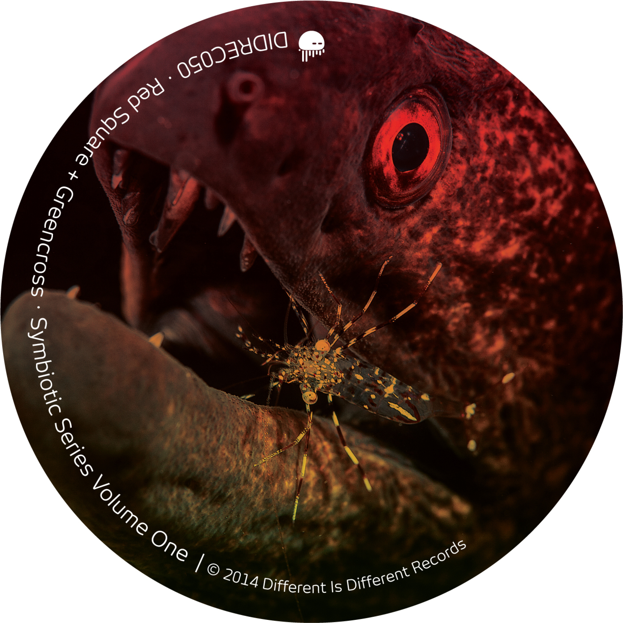 Dimensional (Red Square's 'Five Dimensions' Mix)