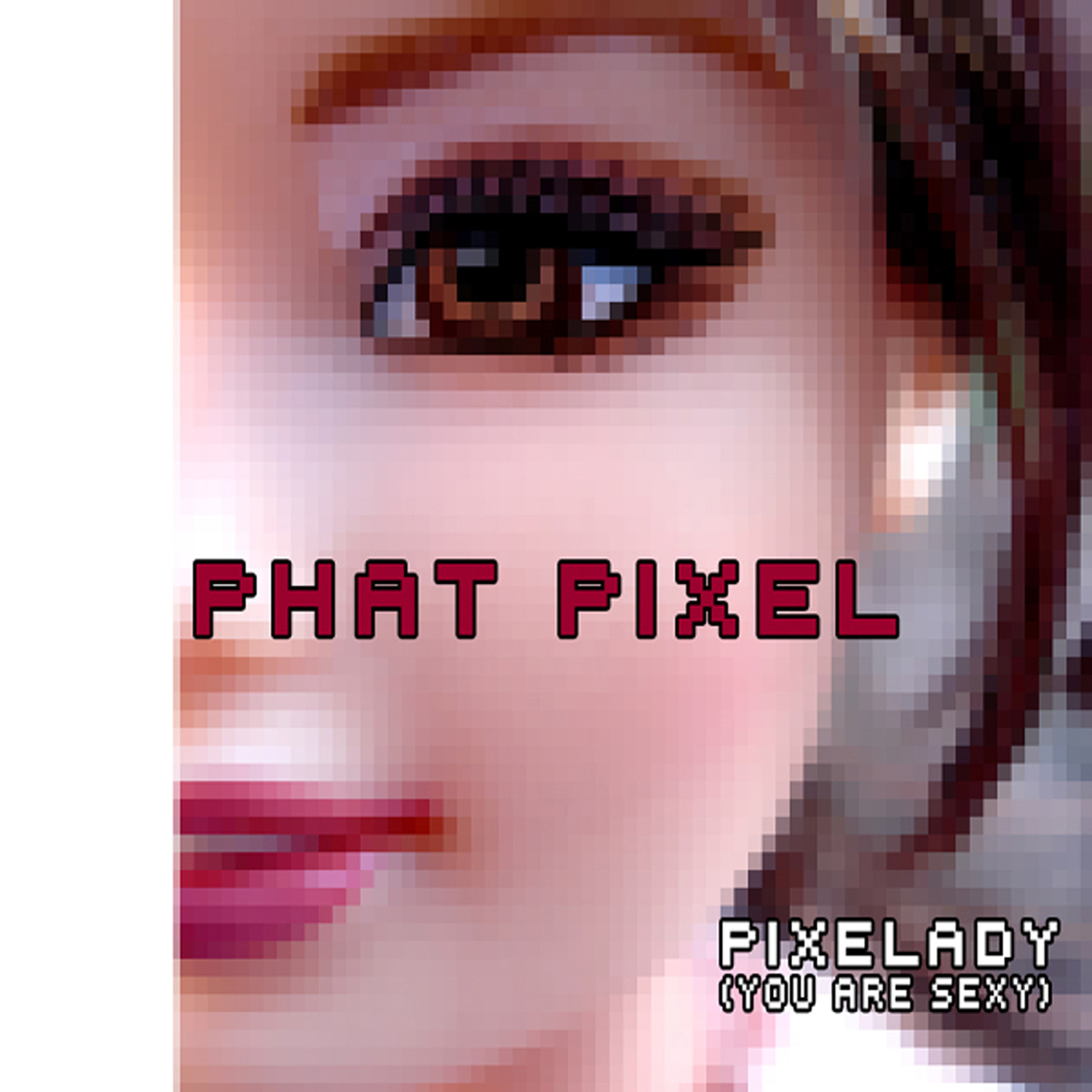 Pixelady (You Are ****) (Game Boy Version)