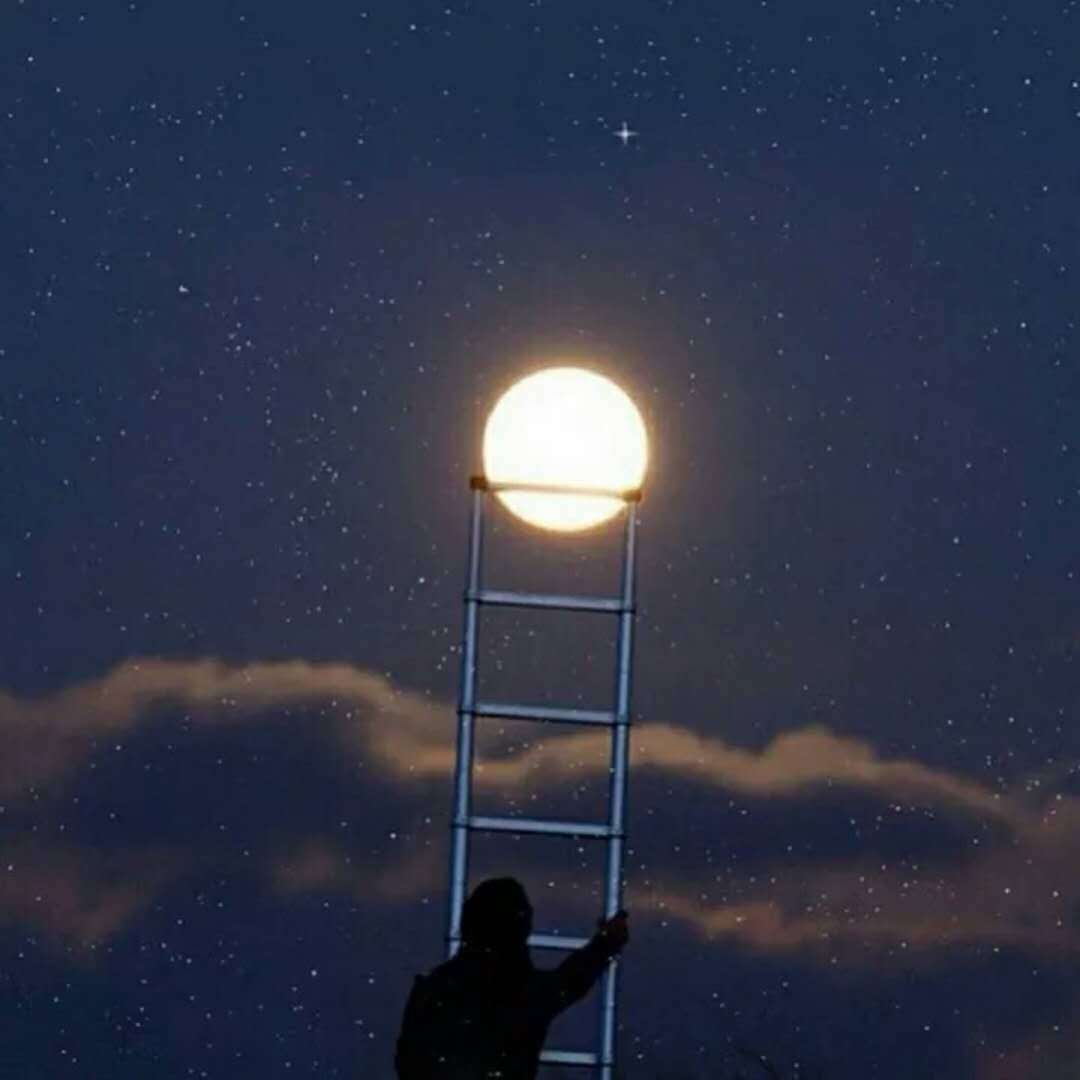 xing qiu zhui luo autotune fan zi qun xing