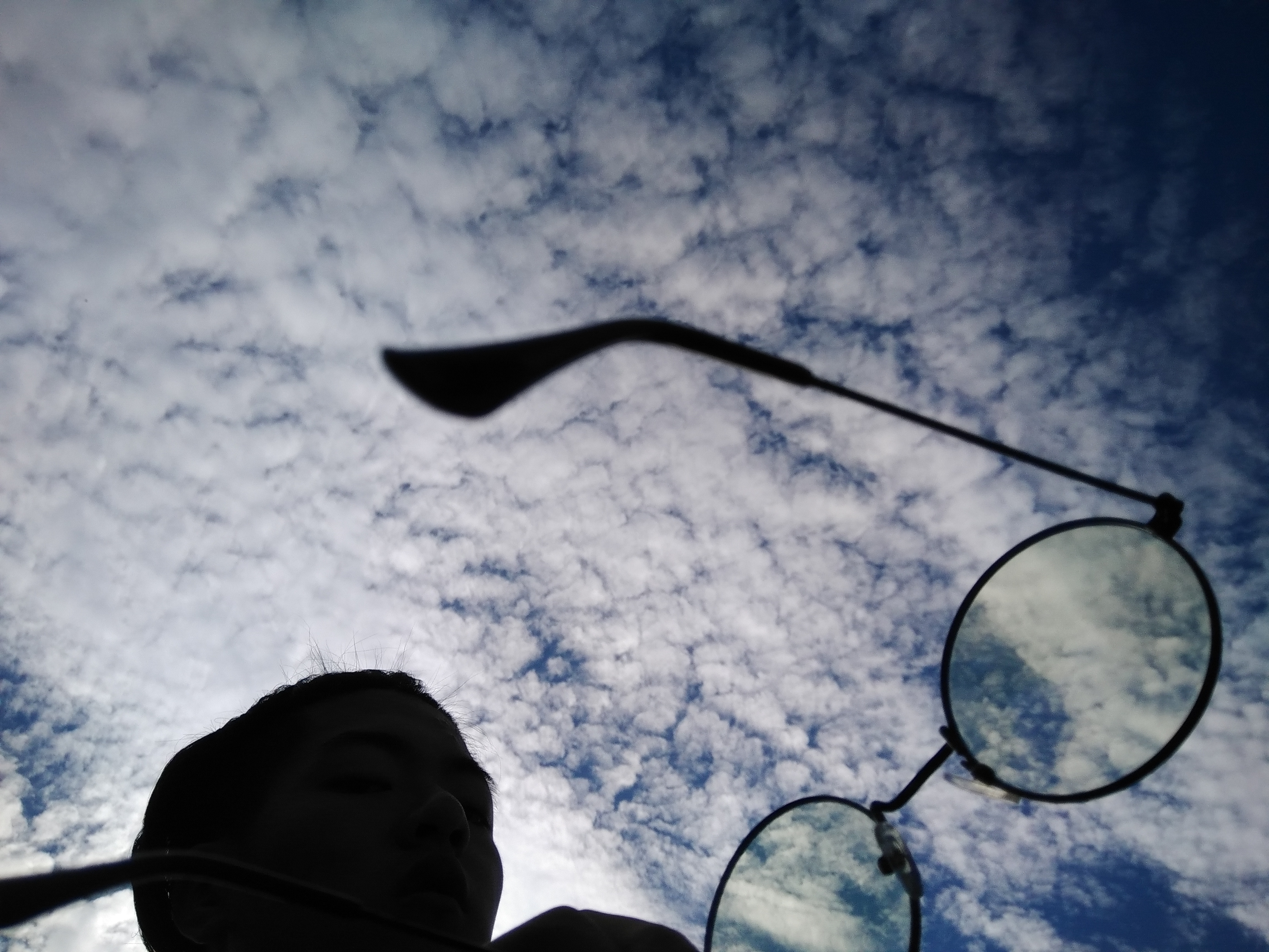 cong xiao zhang da Demo