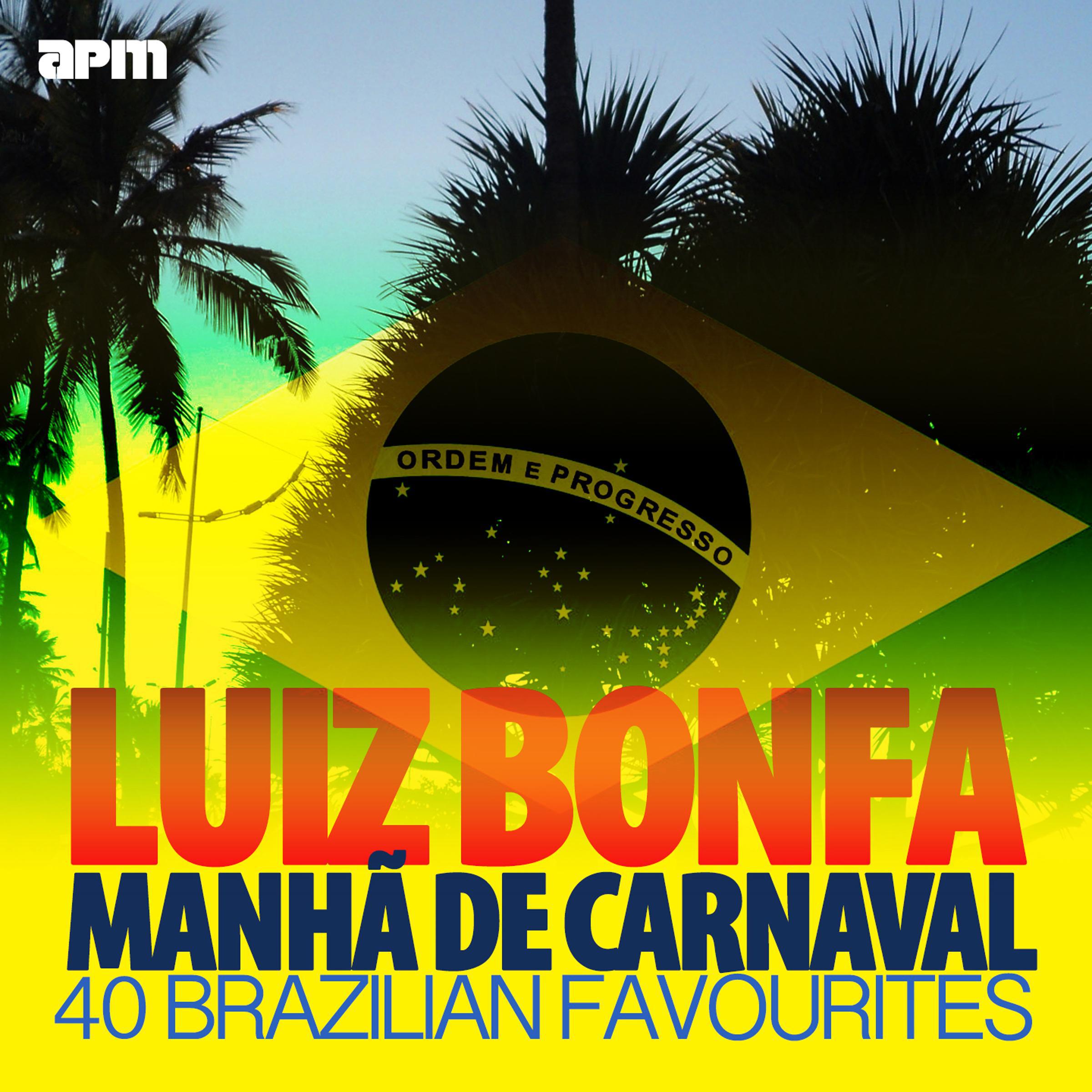 Manh De Carnaval  40 Brazilian Favourites