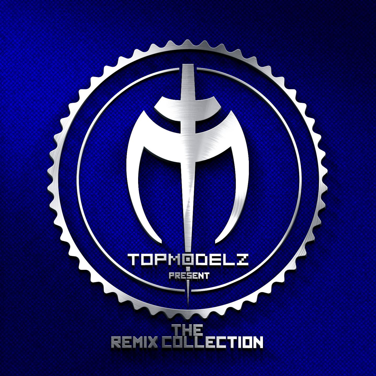 Hold on to the Vision (Topmodelz Remix)