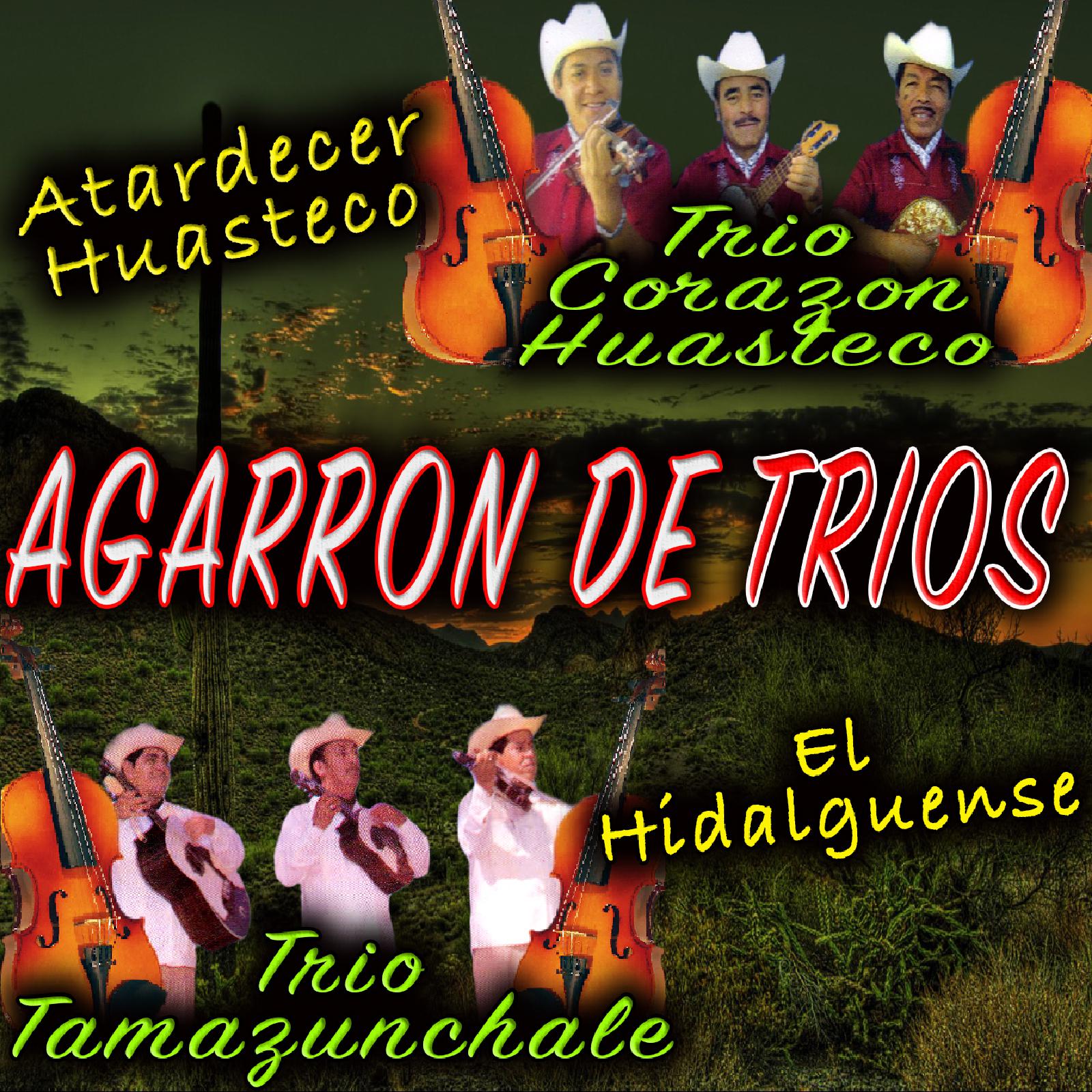Agarron De Trios