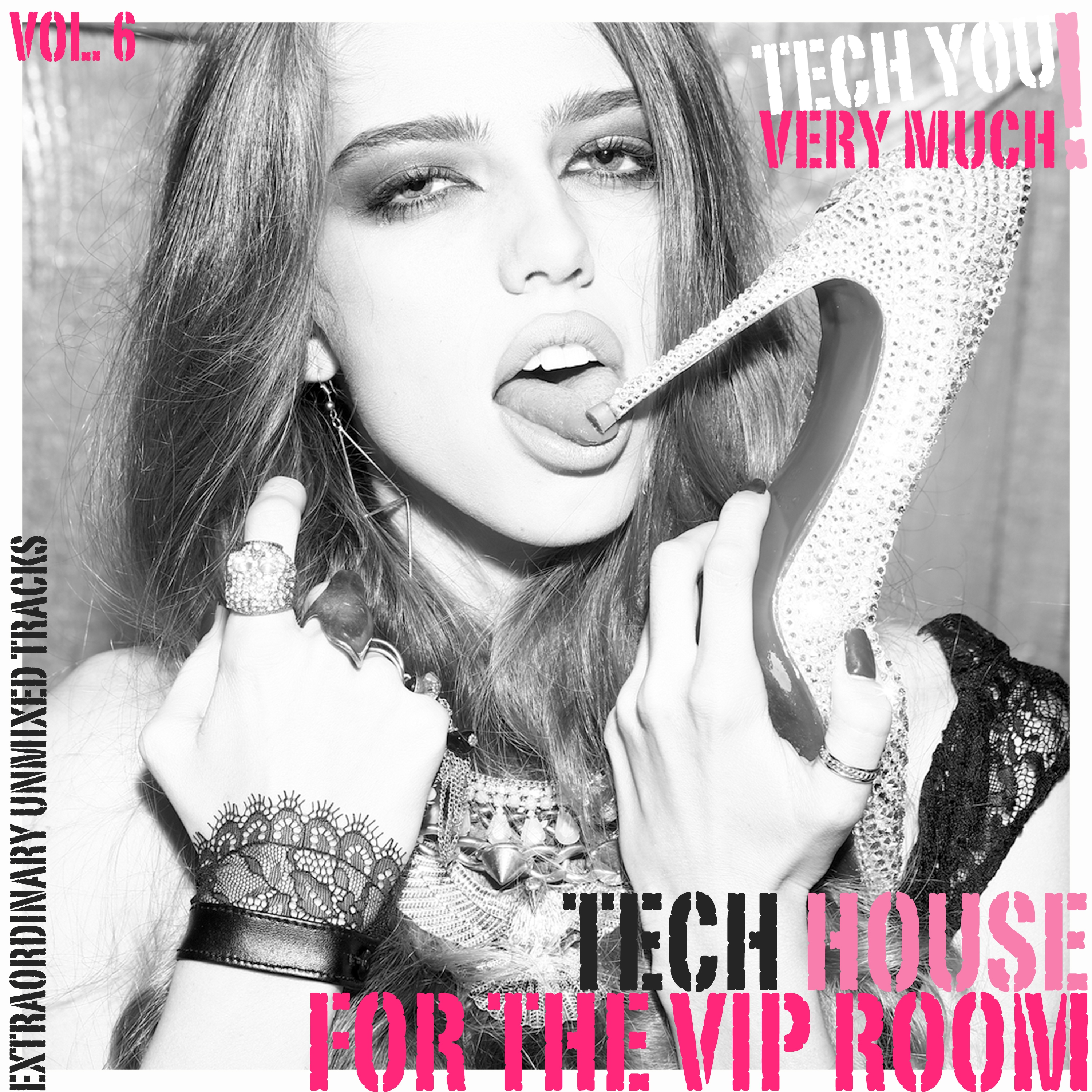 Tech House for the VIP Room, Vol. 6 (Extraordinary Unmixed Tracks)