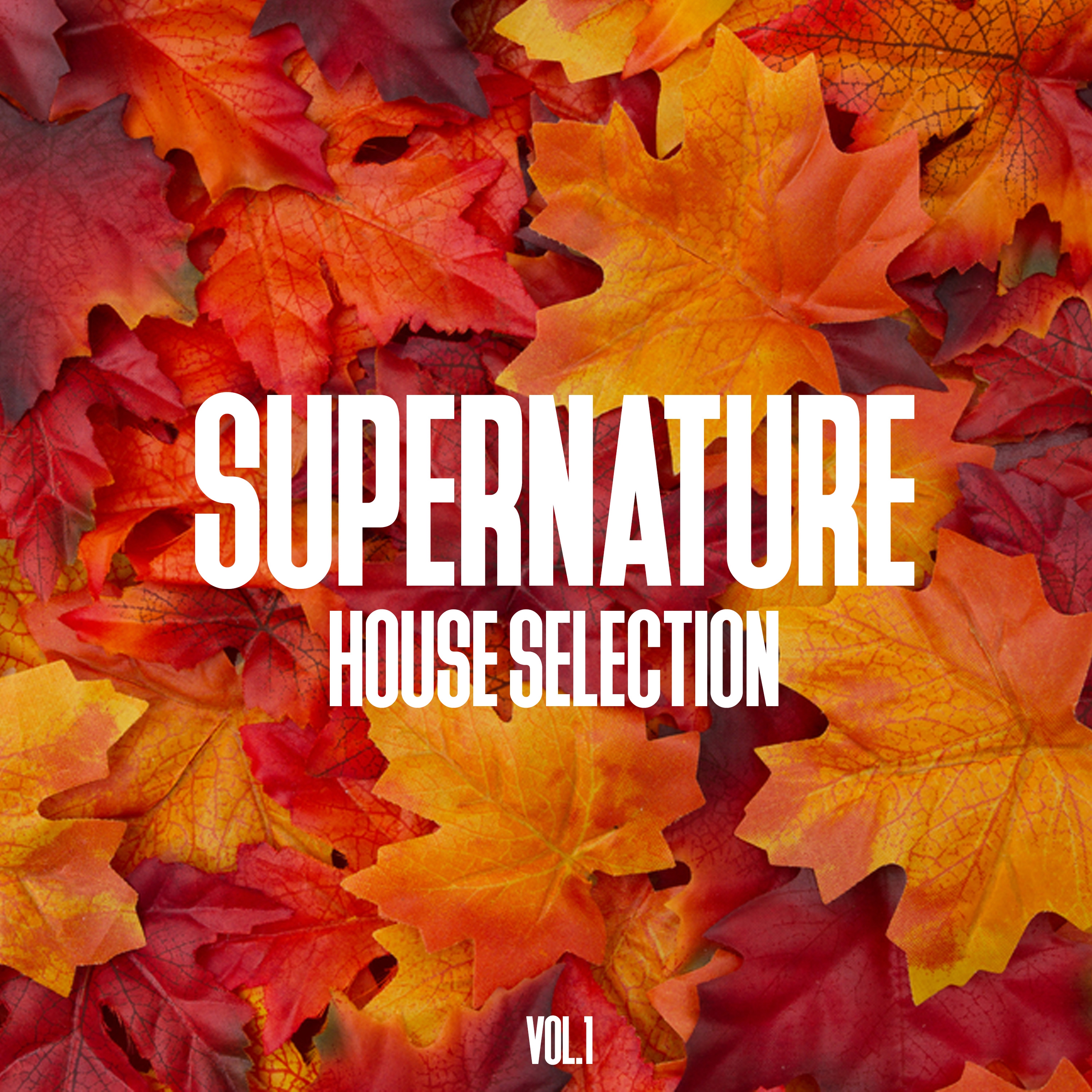 Supernature House Selection, Vol. 1 - 100% House Music