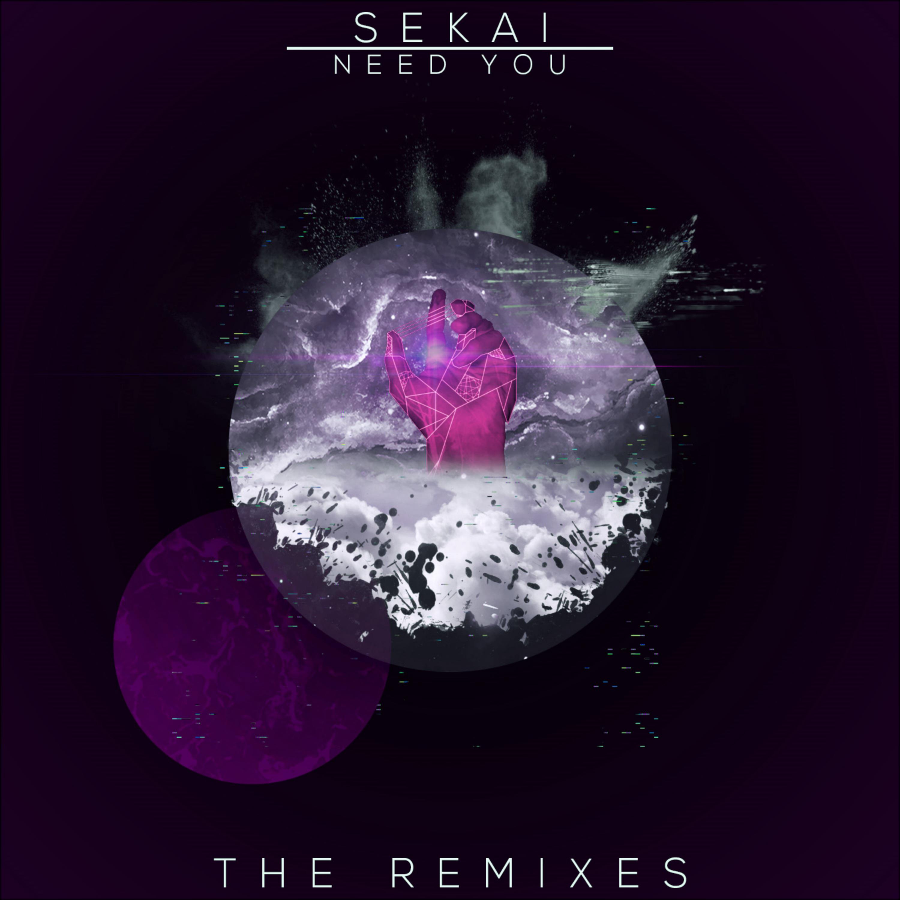 Need You (The Remixes)