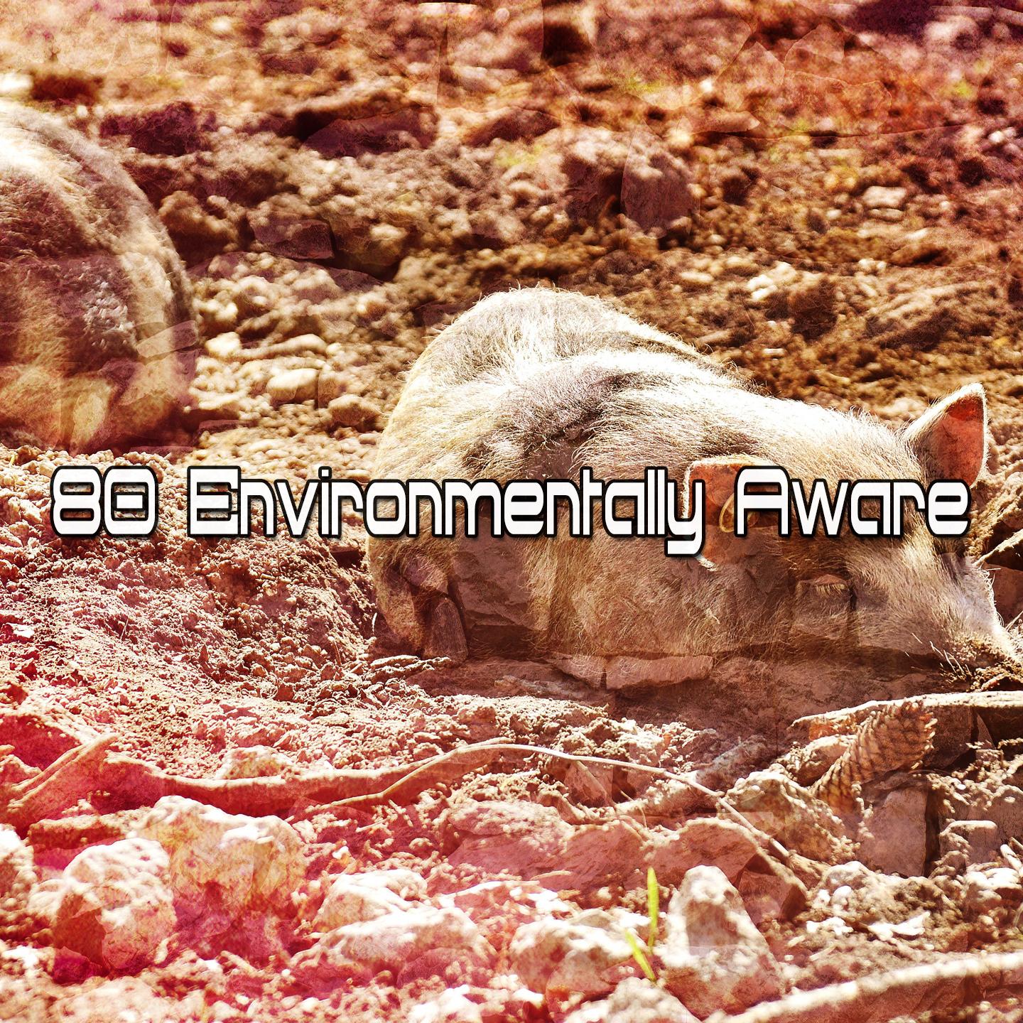 80 Environmentally Aware
