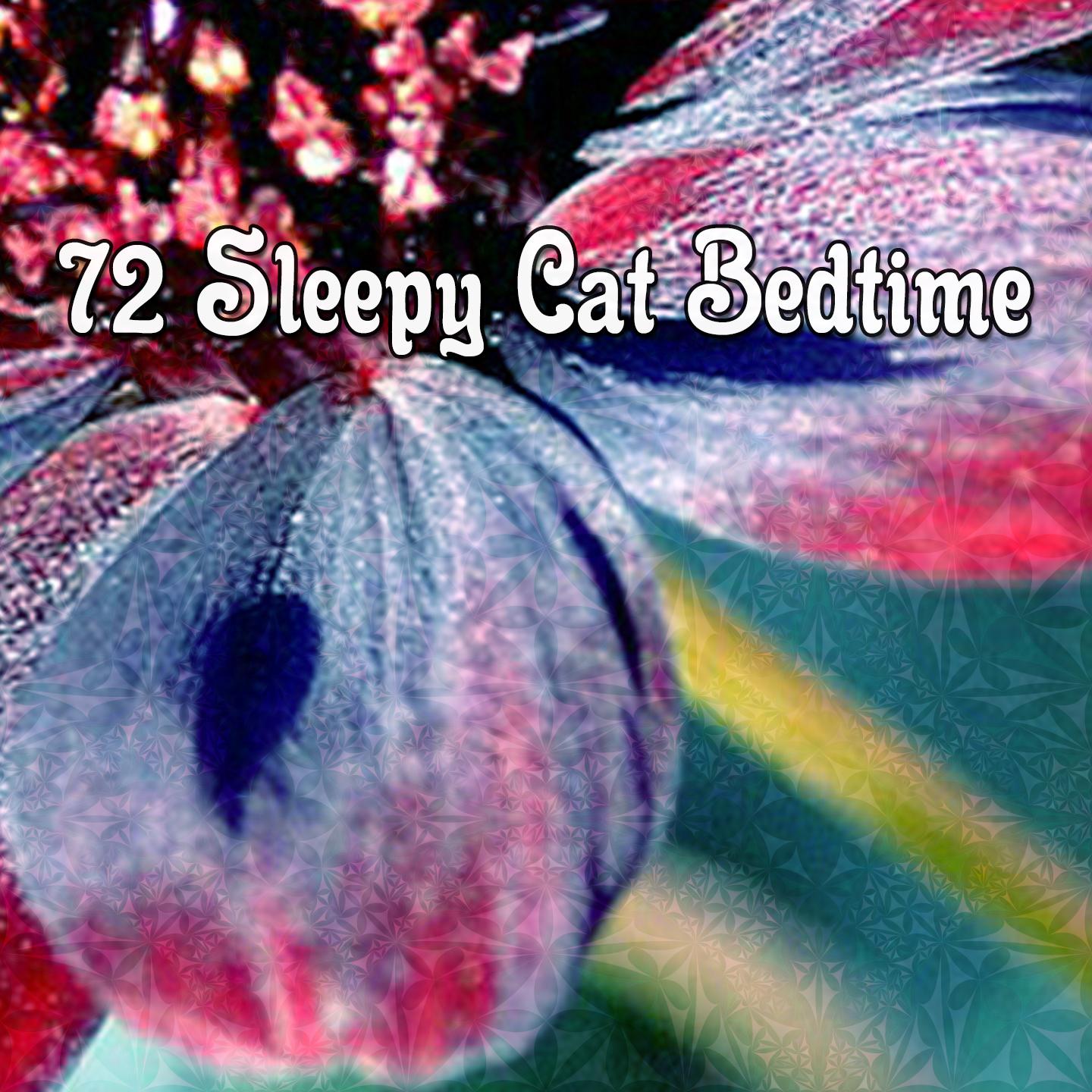 72 Sleepy Cat Bedtime