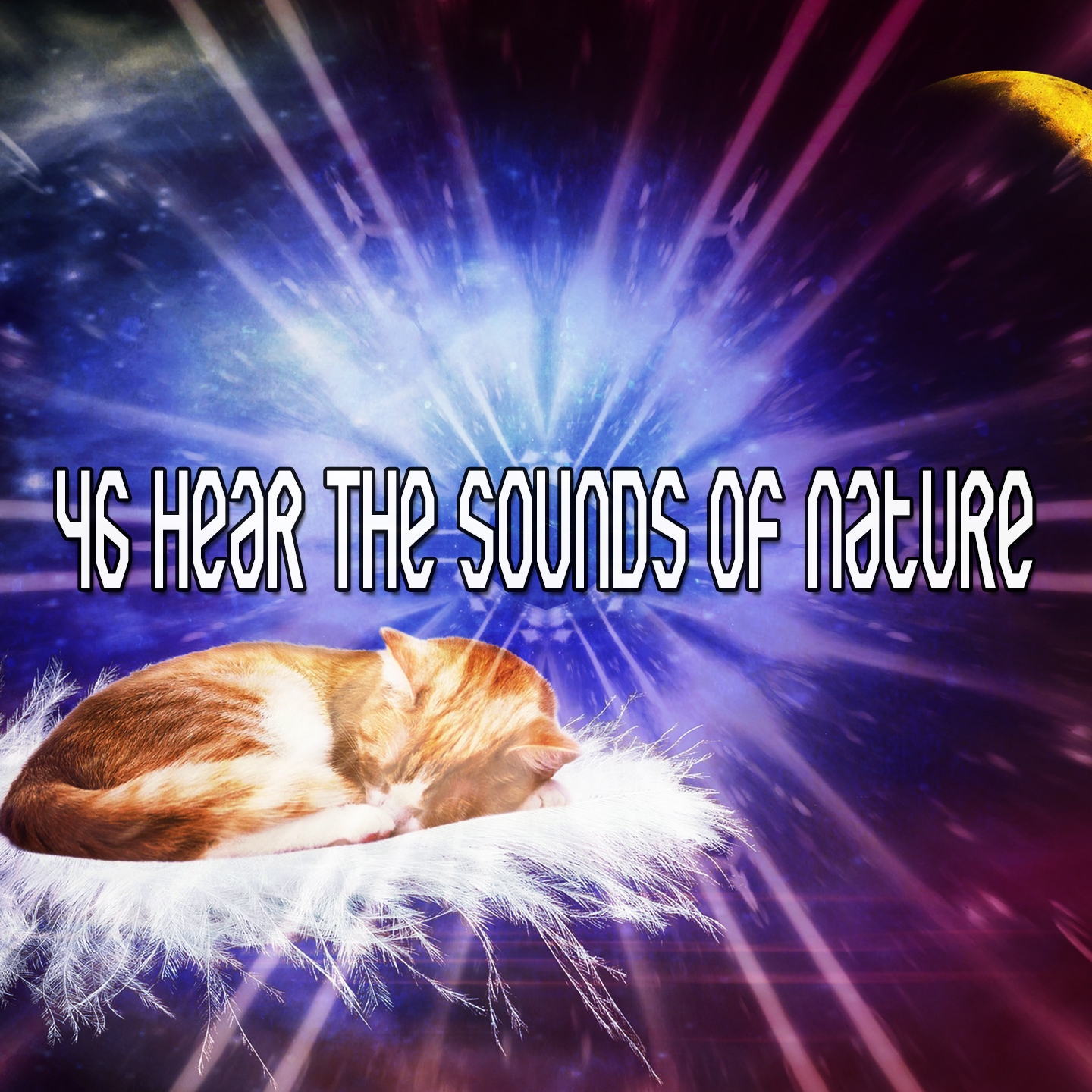 46 Hear The Sounds Of Nature