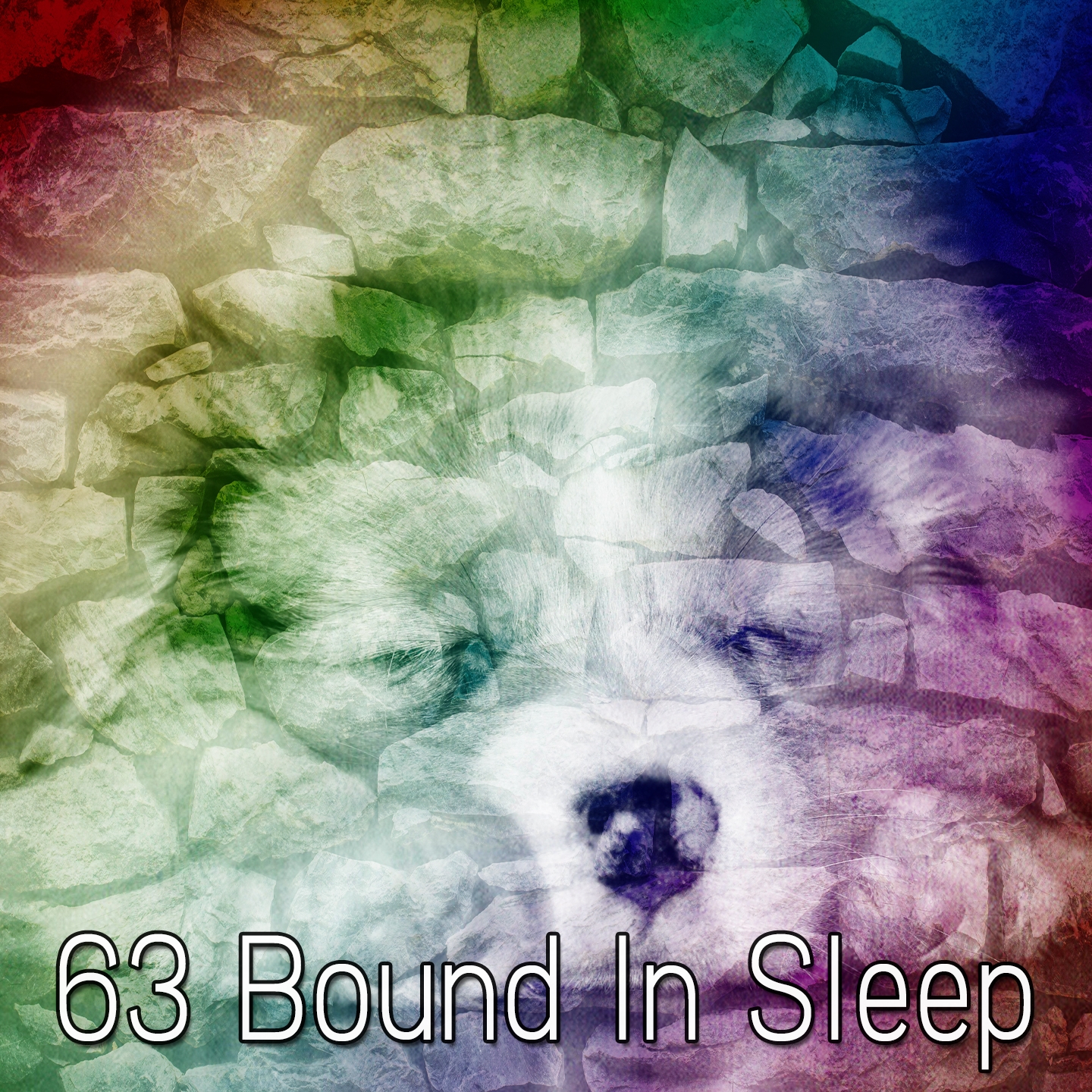 63 Bound In Sleep