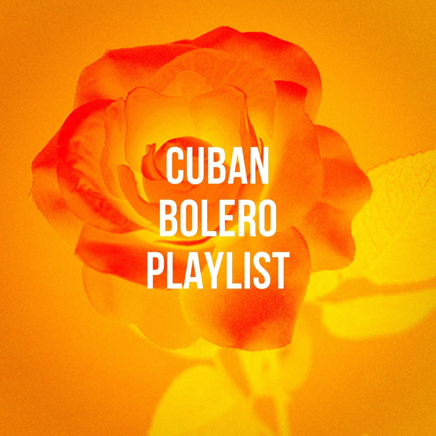 Cuban Bolero Playlist