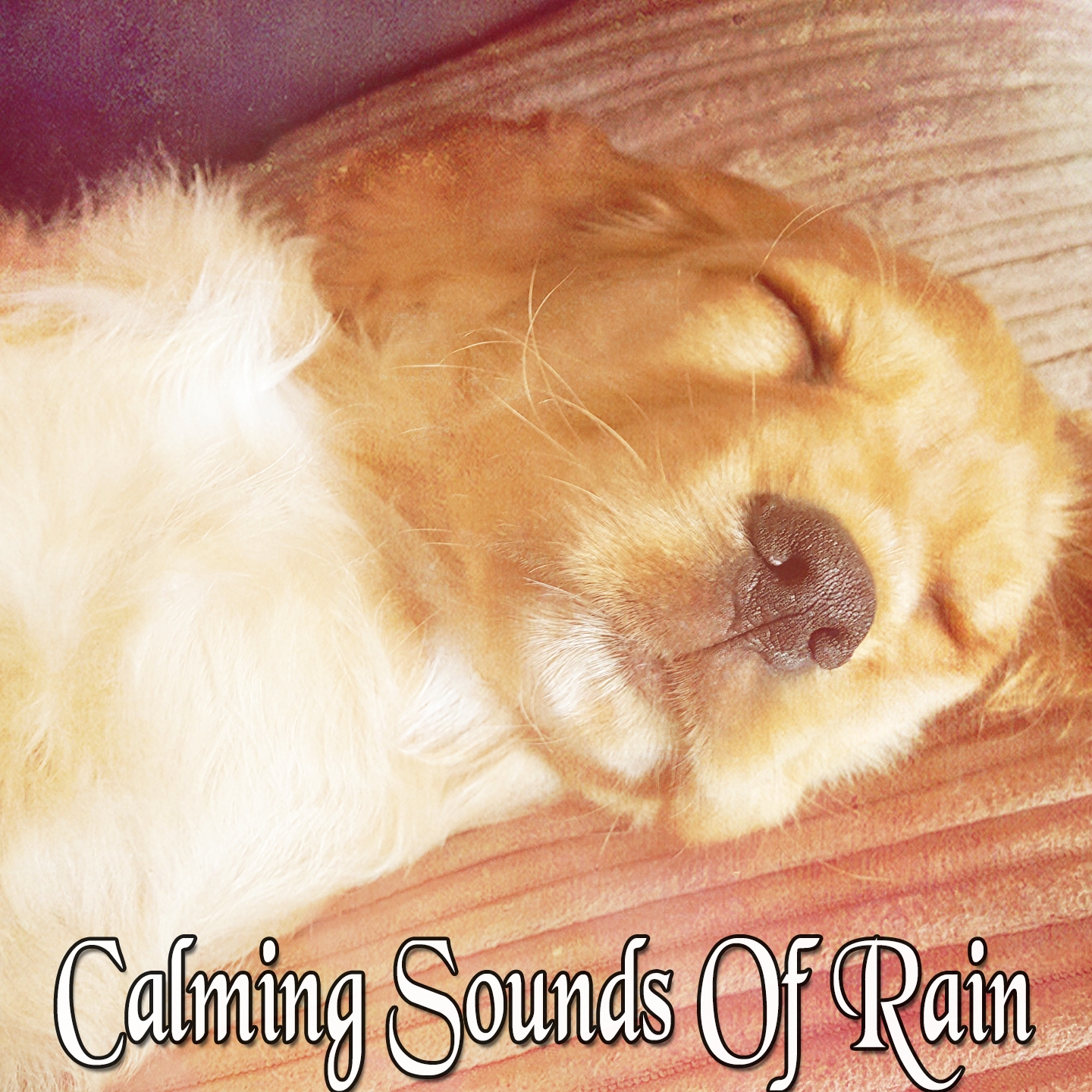 Calming Sounds Of Rain