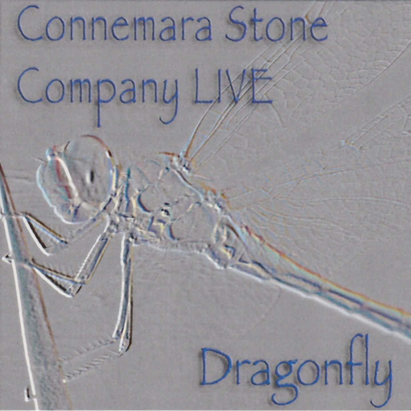 Dragonfly - Live at Folk im Schlosshof (Live)
