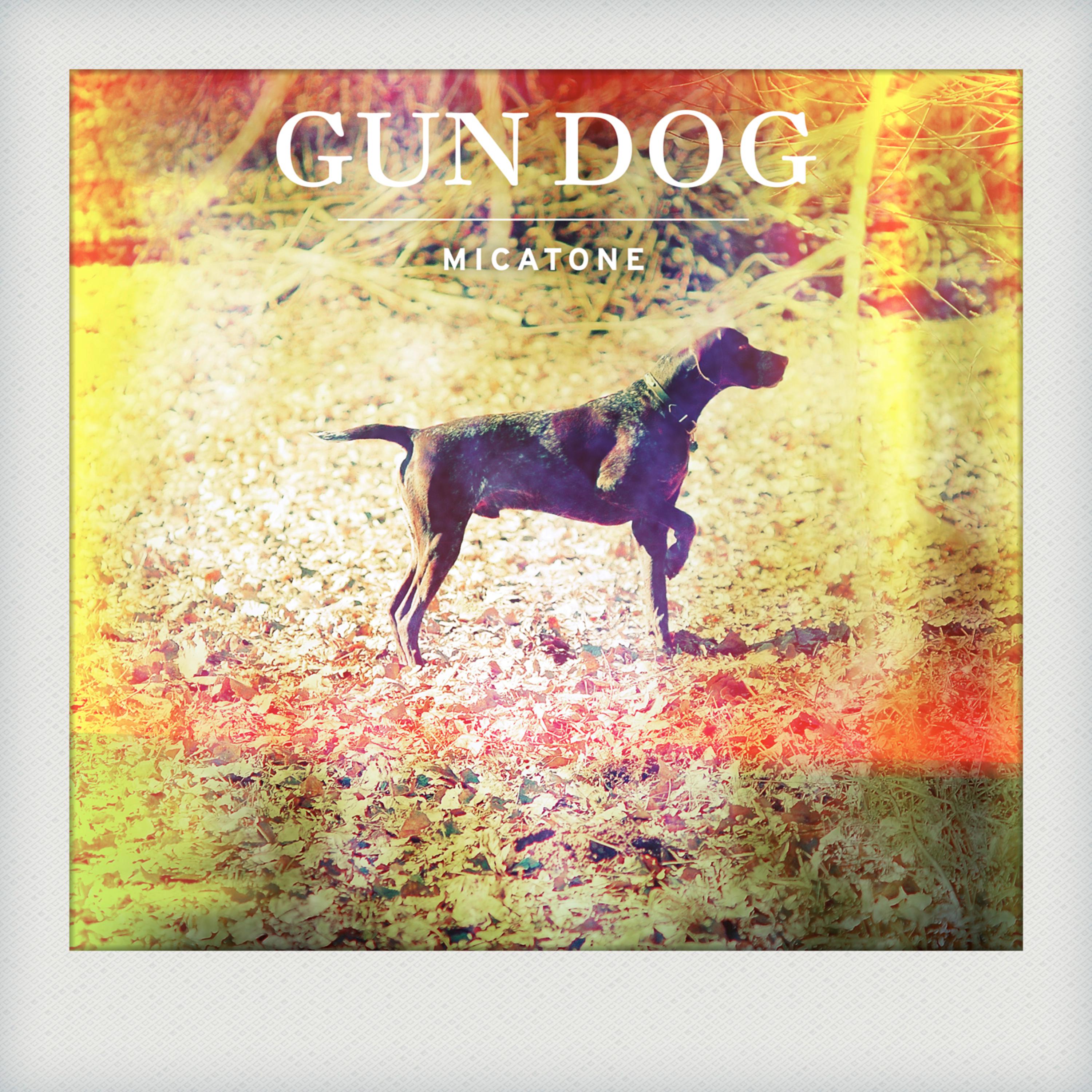 Gun Dog w / Alex Barck Remix