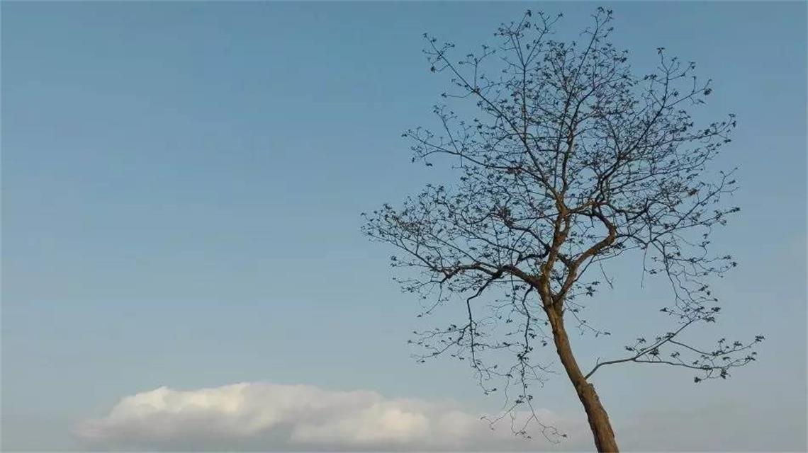 yu ji yi guo men lan qian tu xin ya shi wo