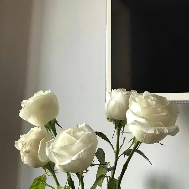 yi diao xian fan zi ReDbuff