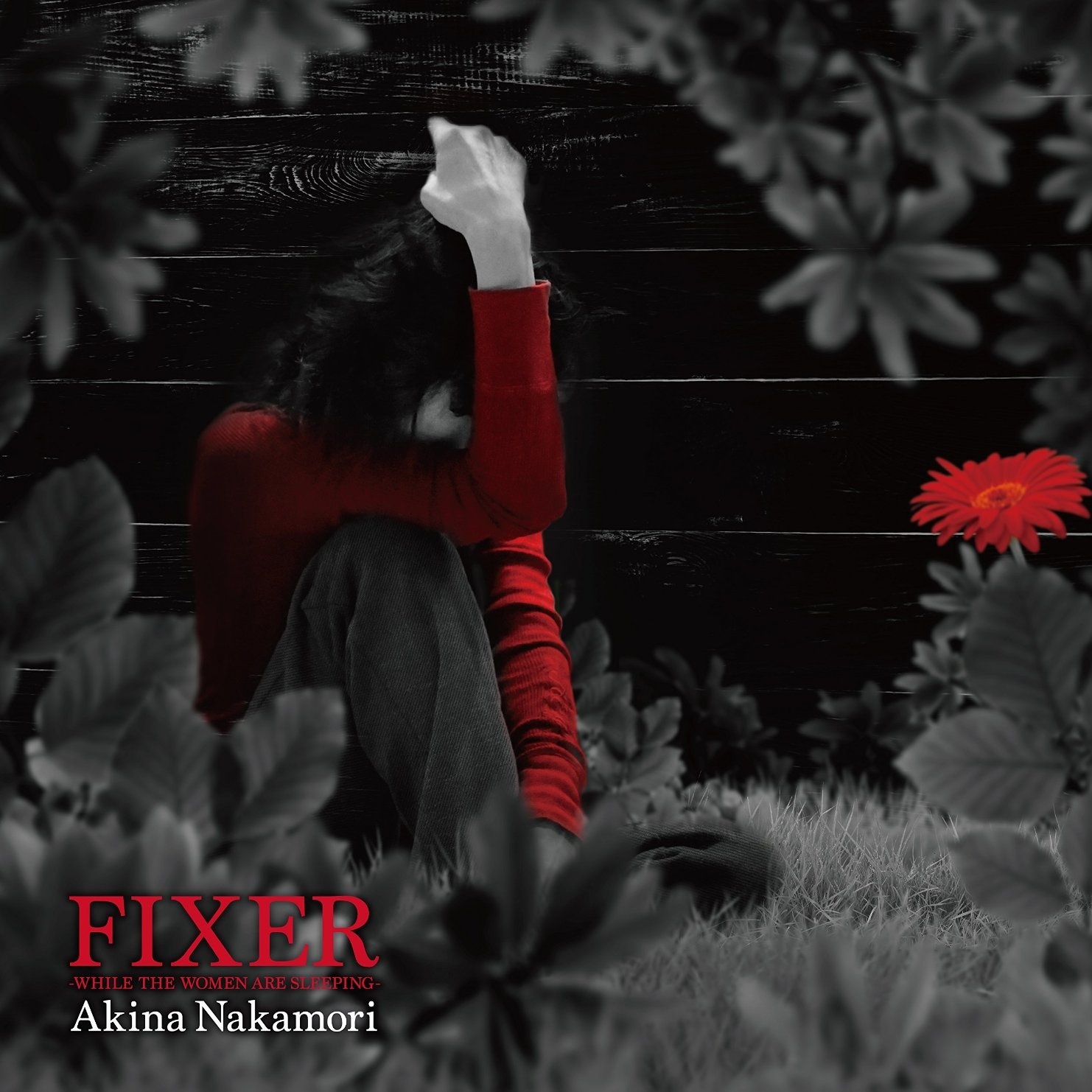 FIXER -WHILE THE WOMEN ARE SLEEPING-