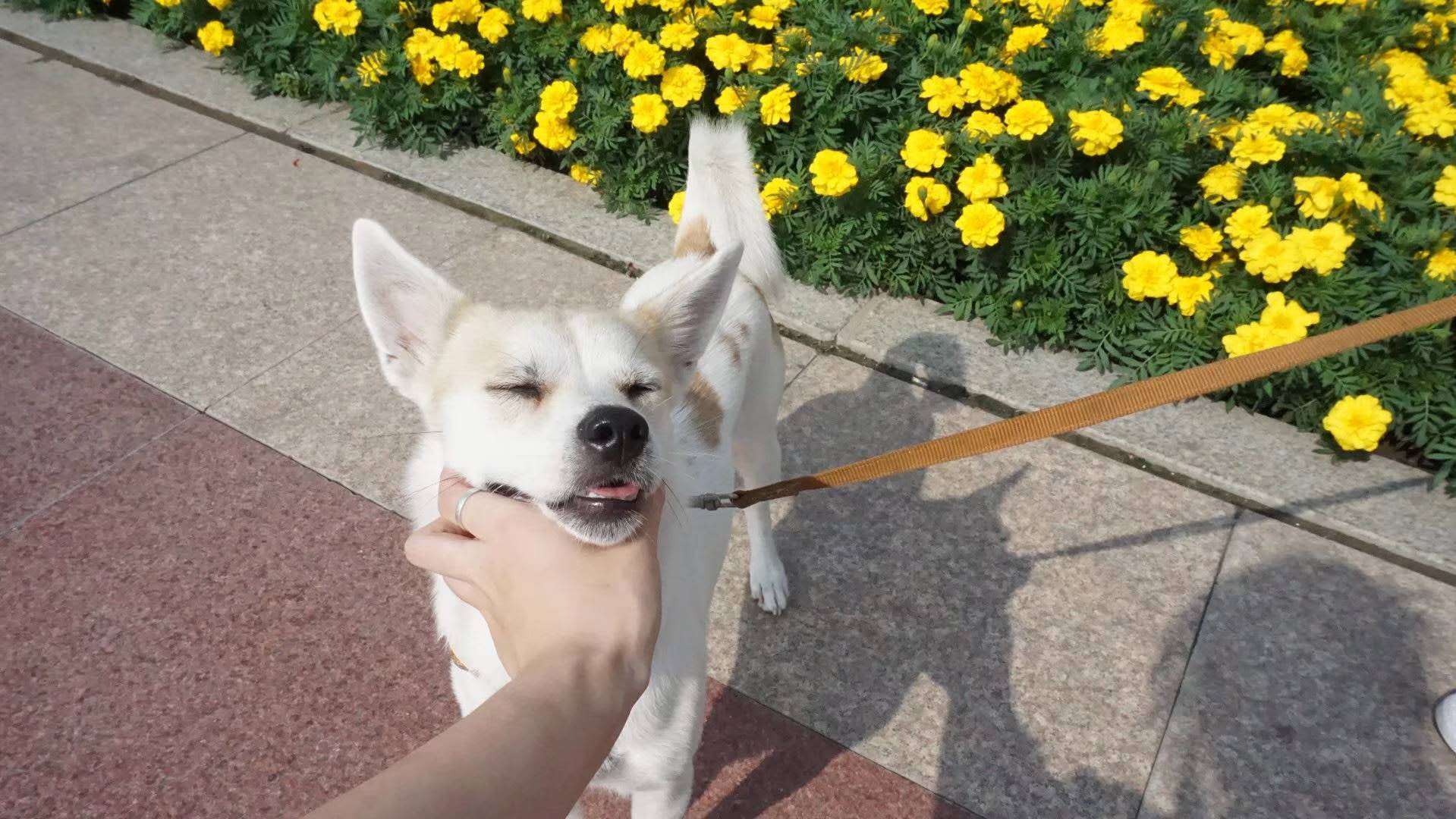 Keep My Love With You