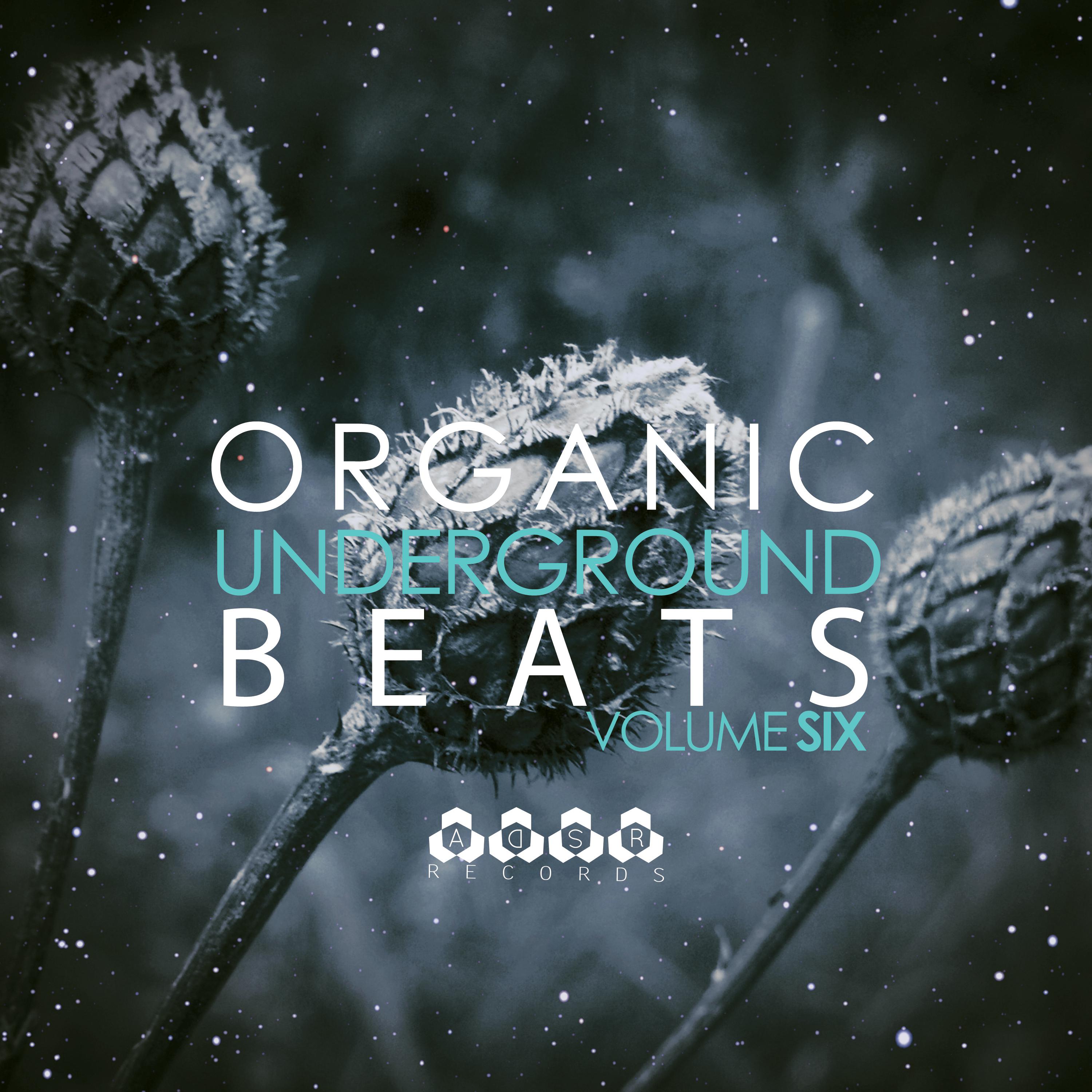 Organic Underground Beats, Vol. 6