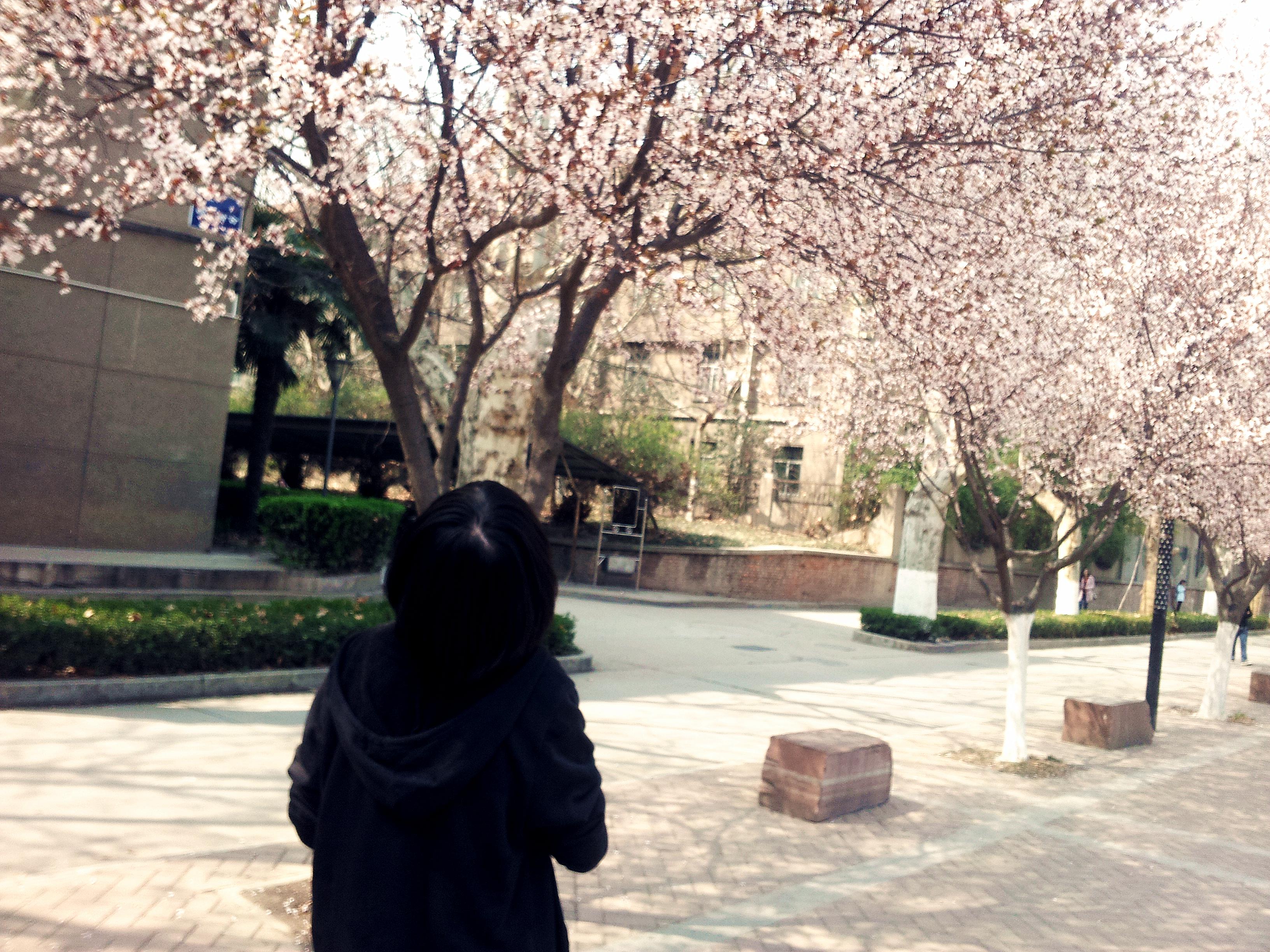 One more time, One more chance acoustic guitar