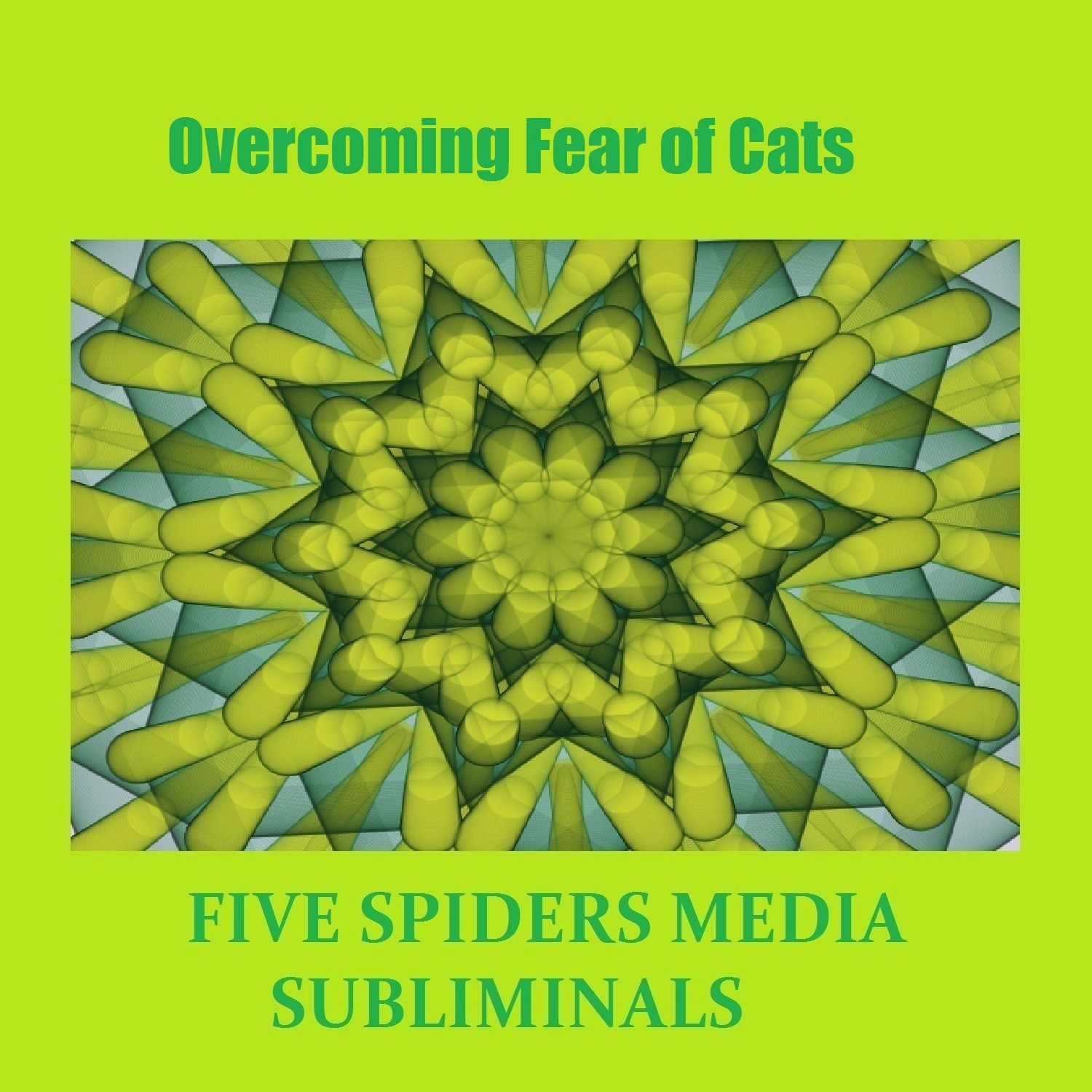 Overcoming Fear of Cats