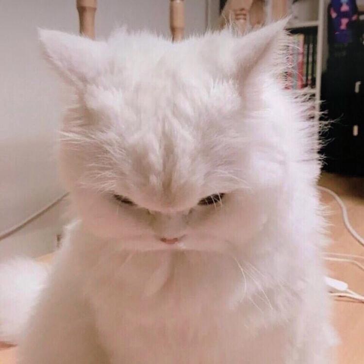 gu du ta ya Cover: er ke