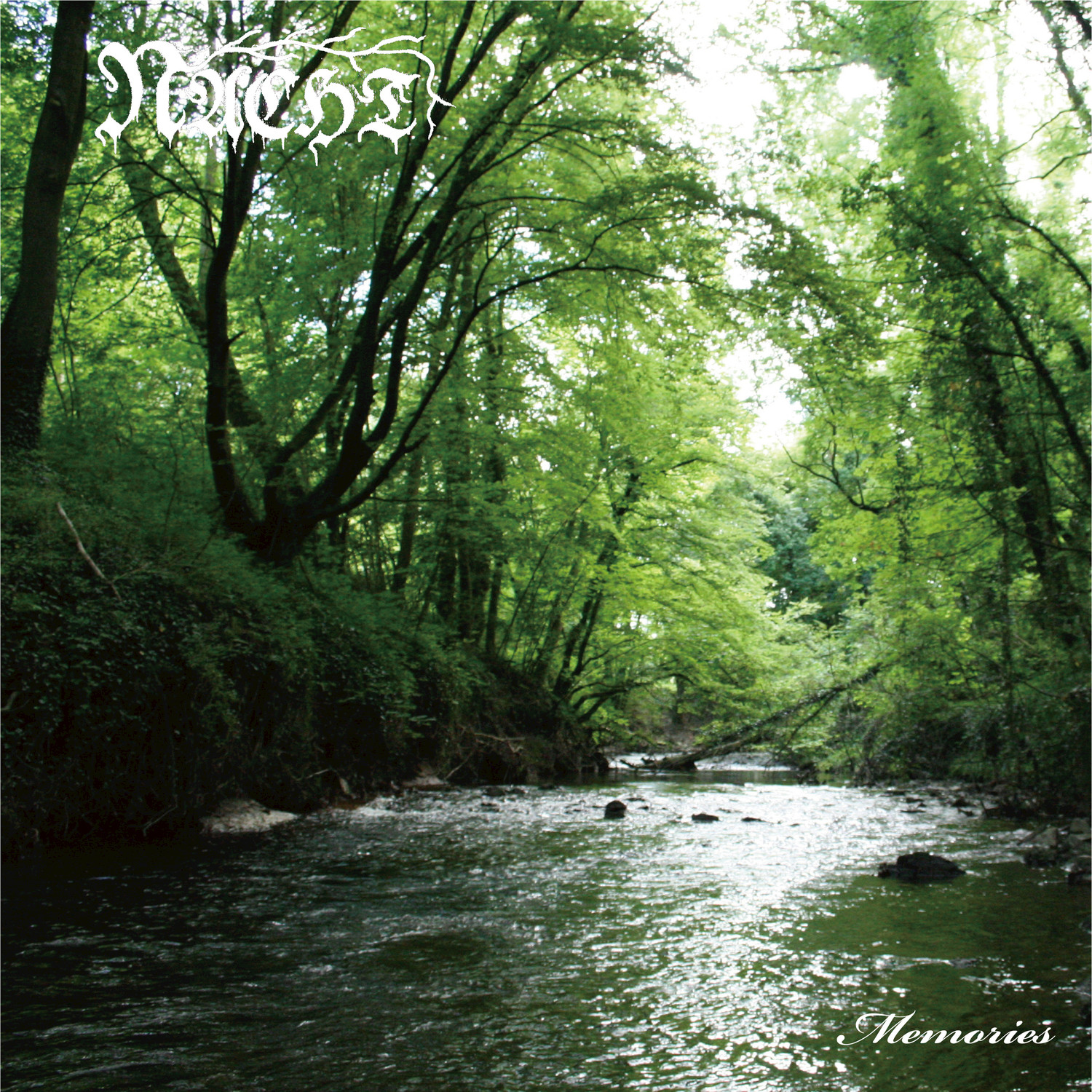 Bleak Leafs of Autumn