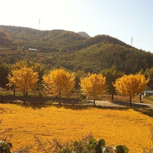 making music was a mistake 