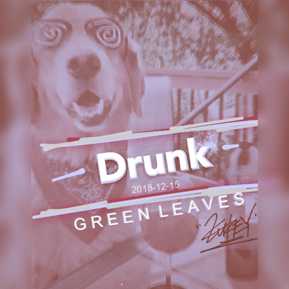 zui de xiang tiao gou Cover: ZjaIvSoN