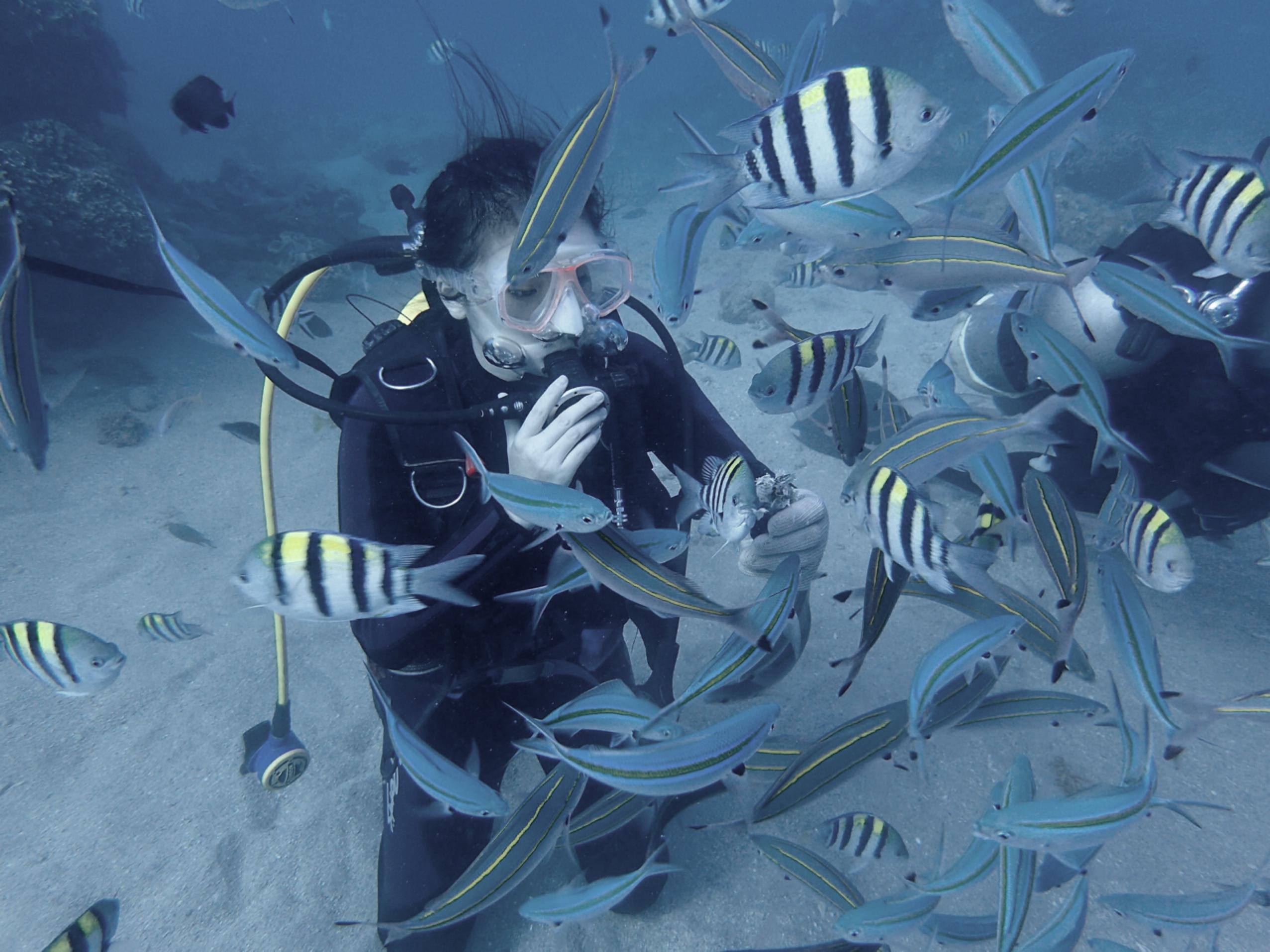 yu zi    ying wen ban Cover lu guang zhong