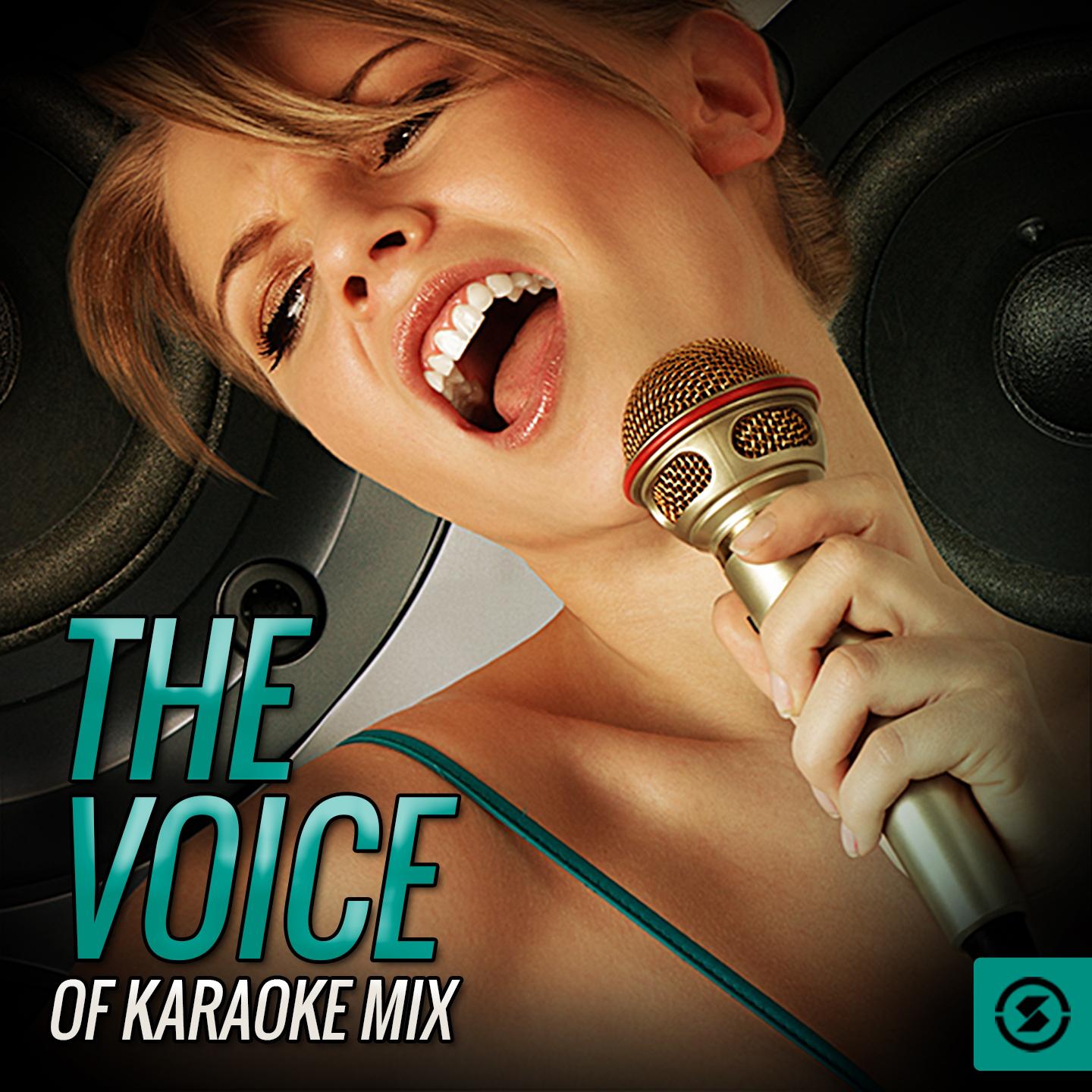 The Voice Of Karaoke Mix