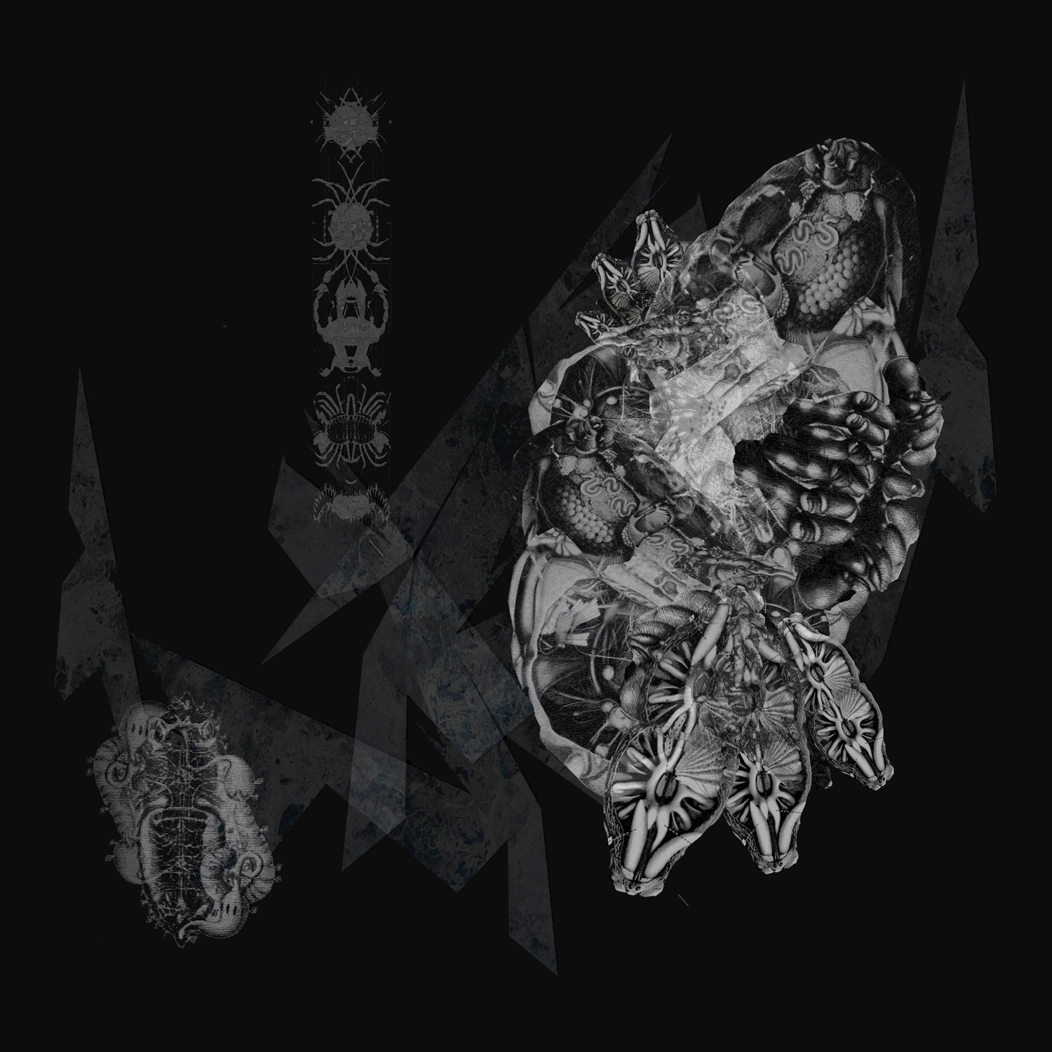 Indoctrination of Structure