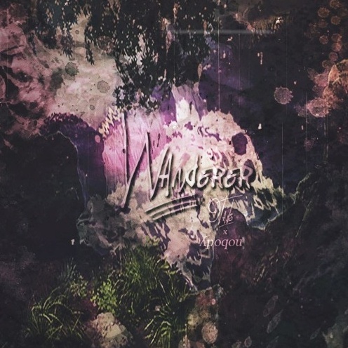wanderer prod. poqou