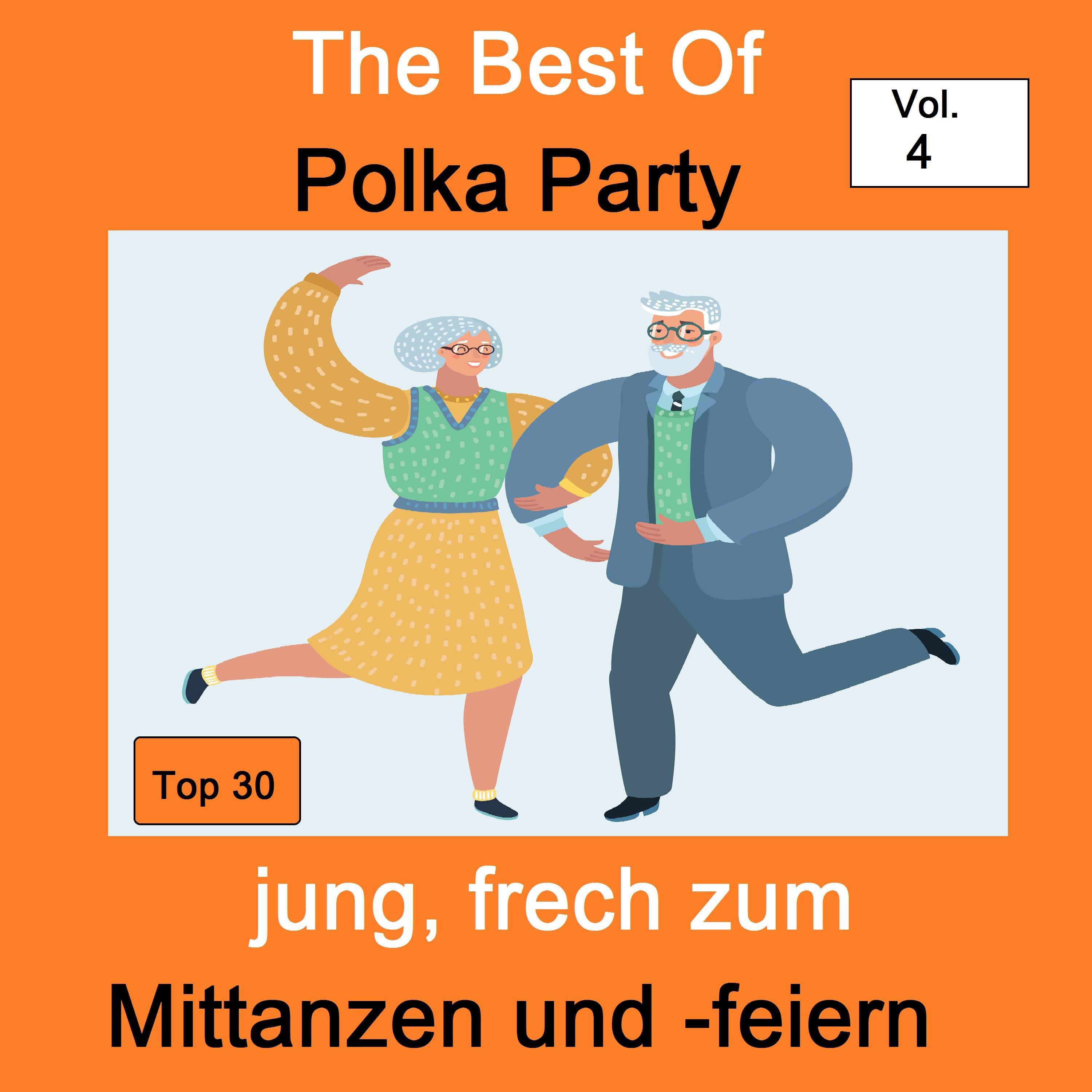 Top 30: Berü hmte deutsche M rsche  Band  Gro er Zapfenstreich, Vol. 5
