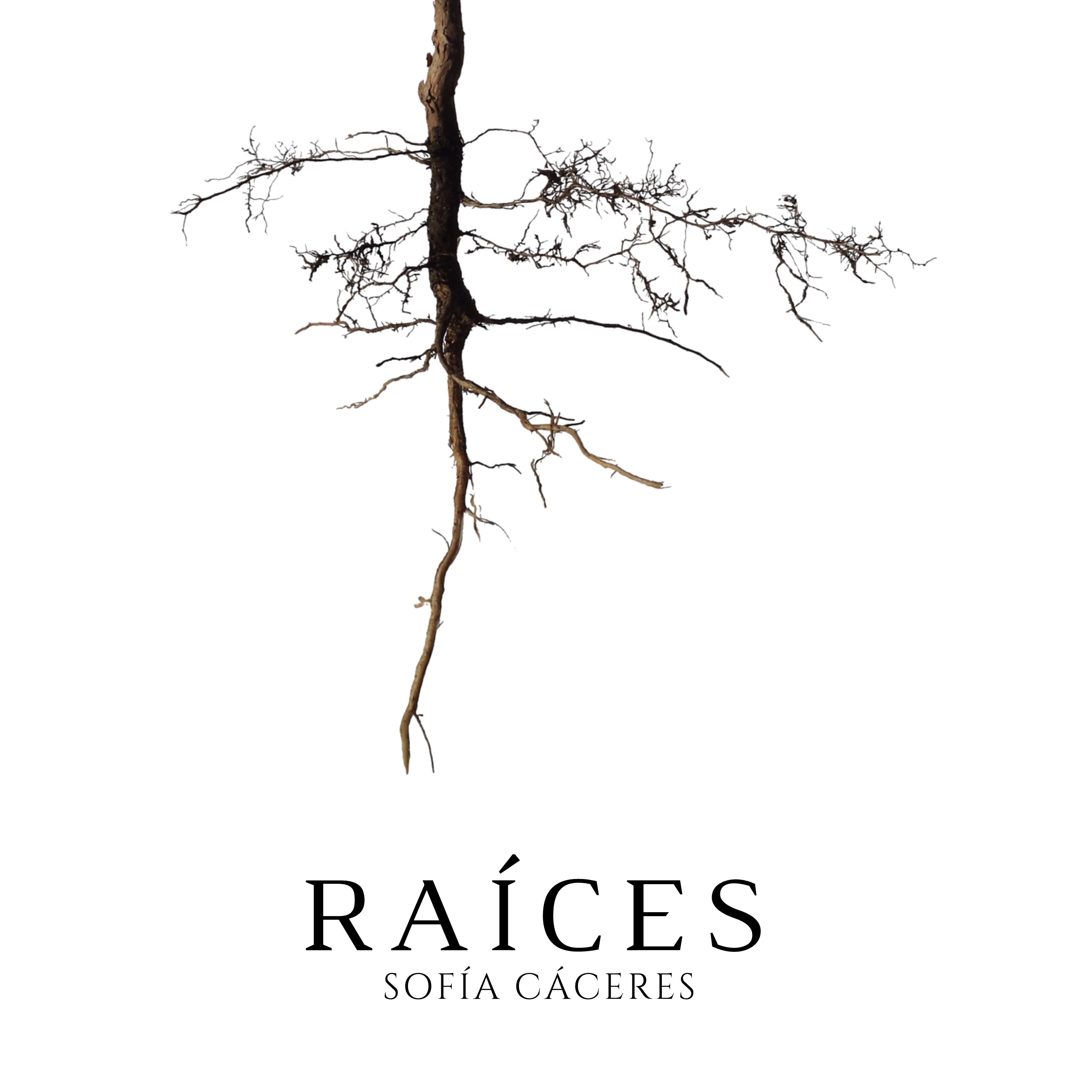 Salvador a Ti Me Rindo