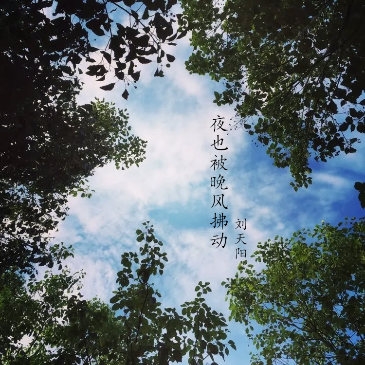 ye ye bei wan feng fu dong