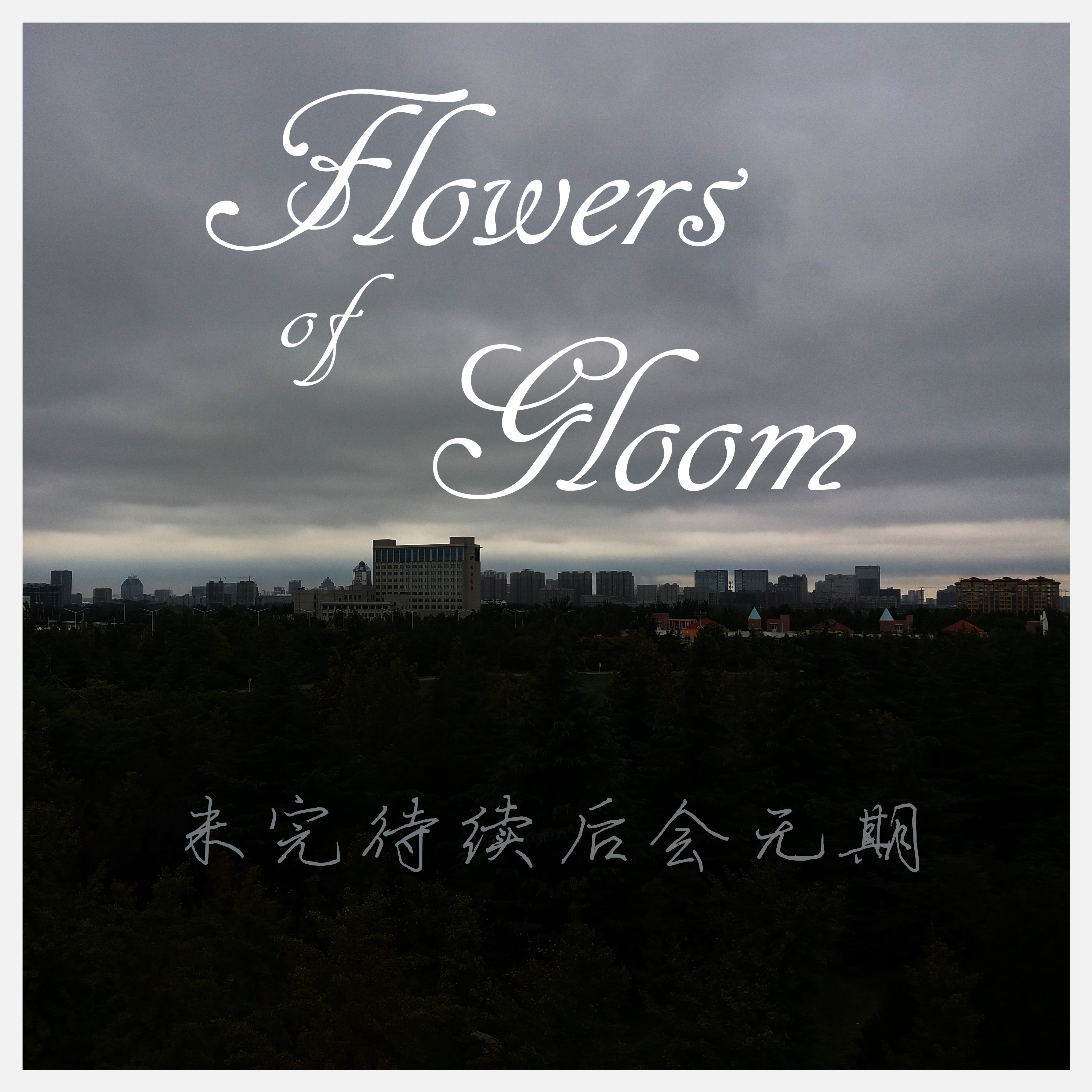 A  Sleepless  Night hou hui wu qi