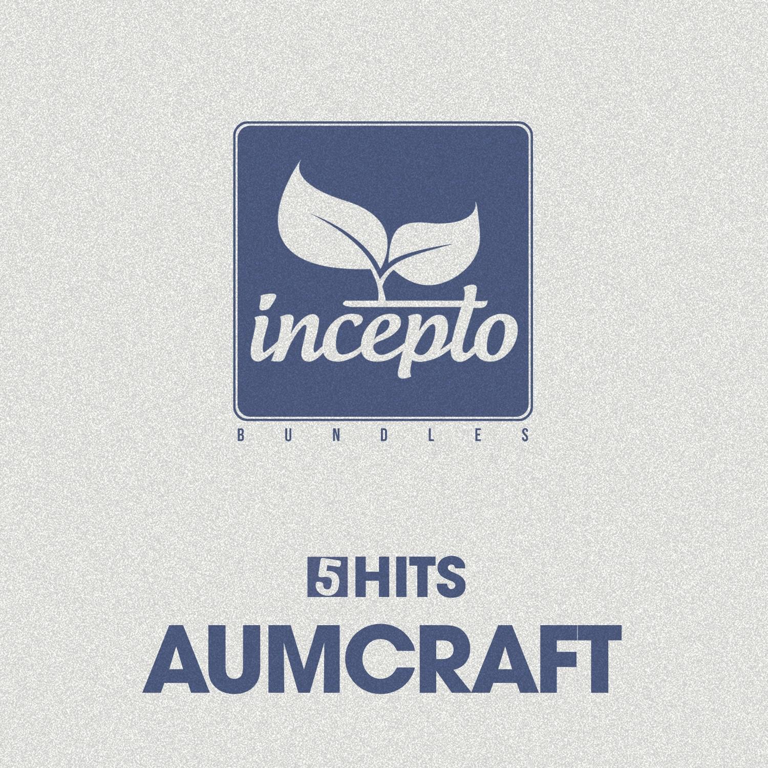 5 Hits: Aumcraft