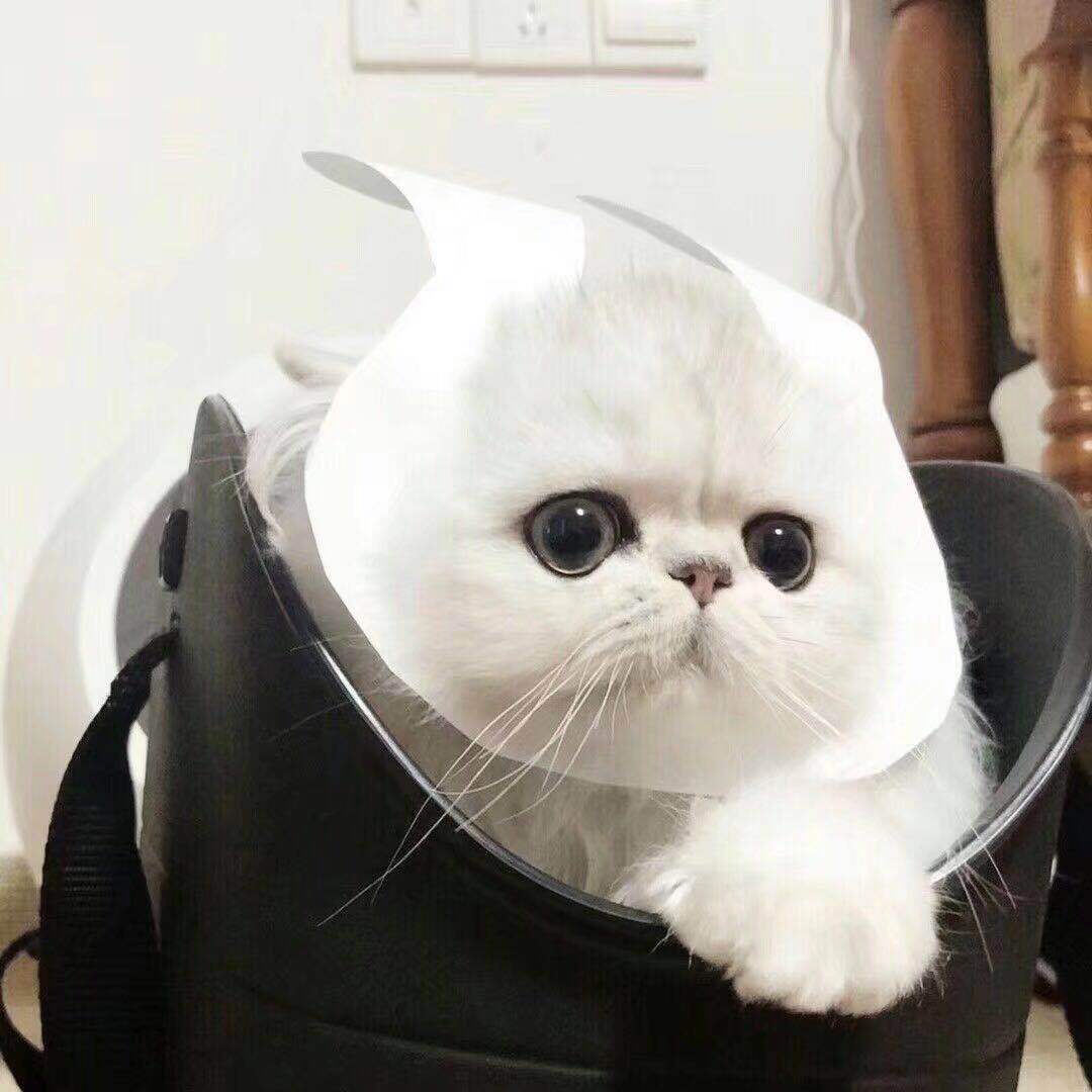 ye che fan zi ceng yi ke